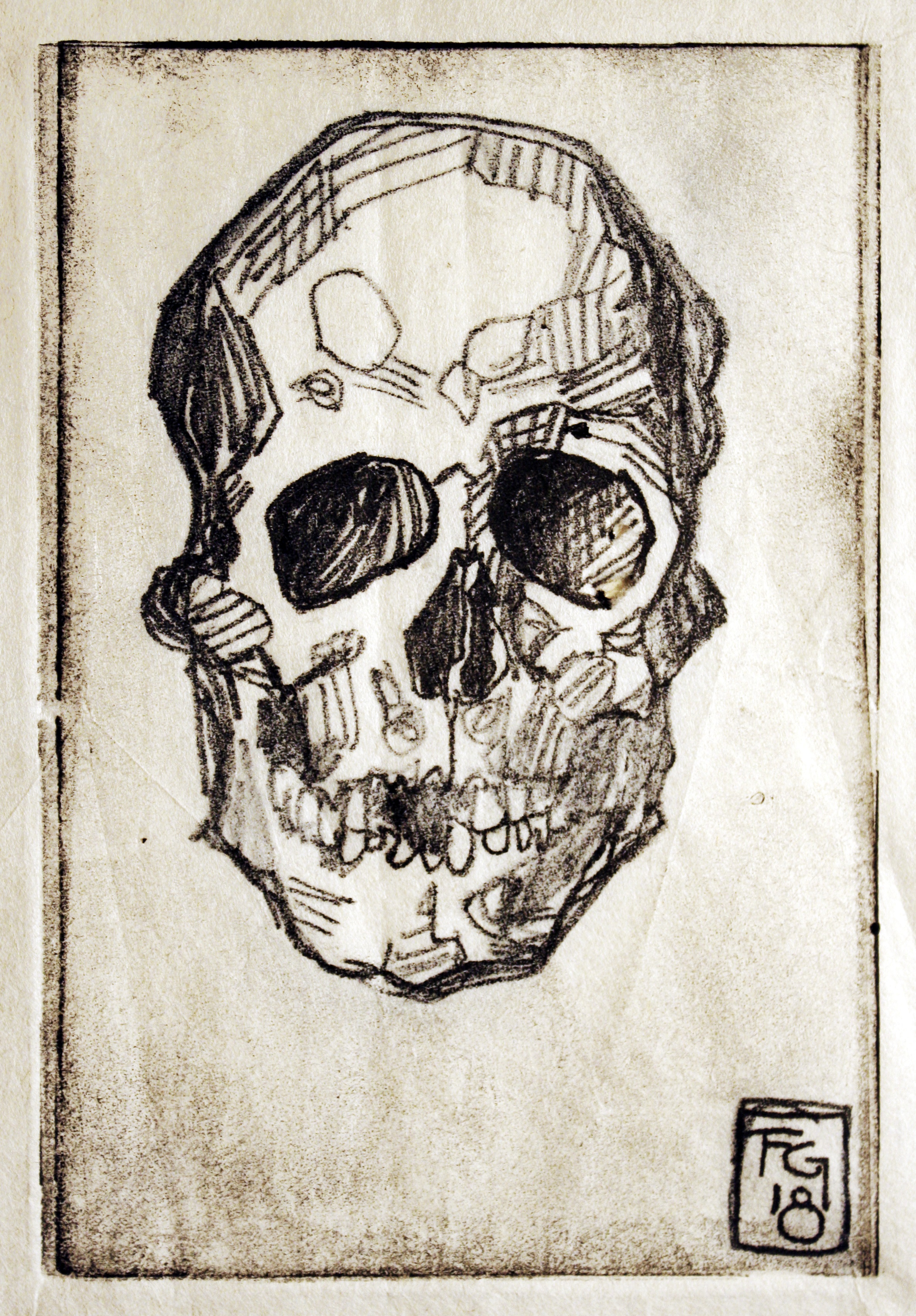 Skull.jpg