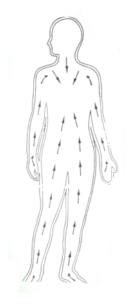 skin_brush_diag