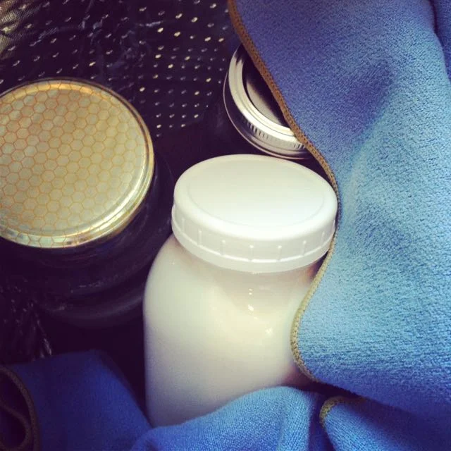 A jar of coconut ferment surrounded by jars of hot water, wrapped in an insulating blankie
