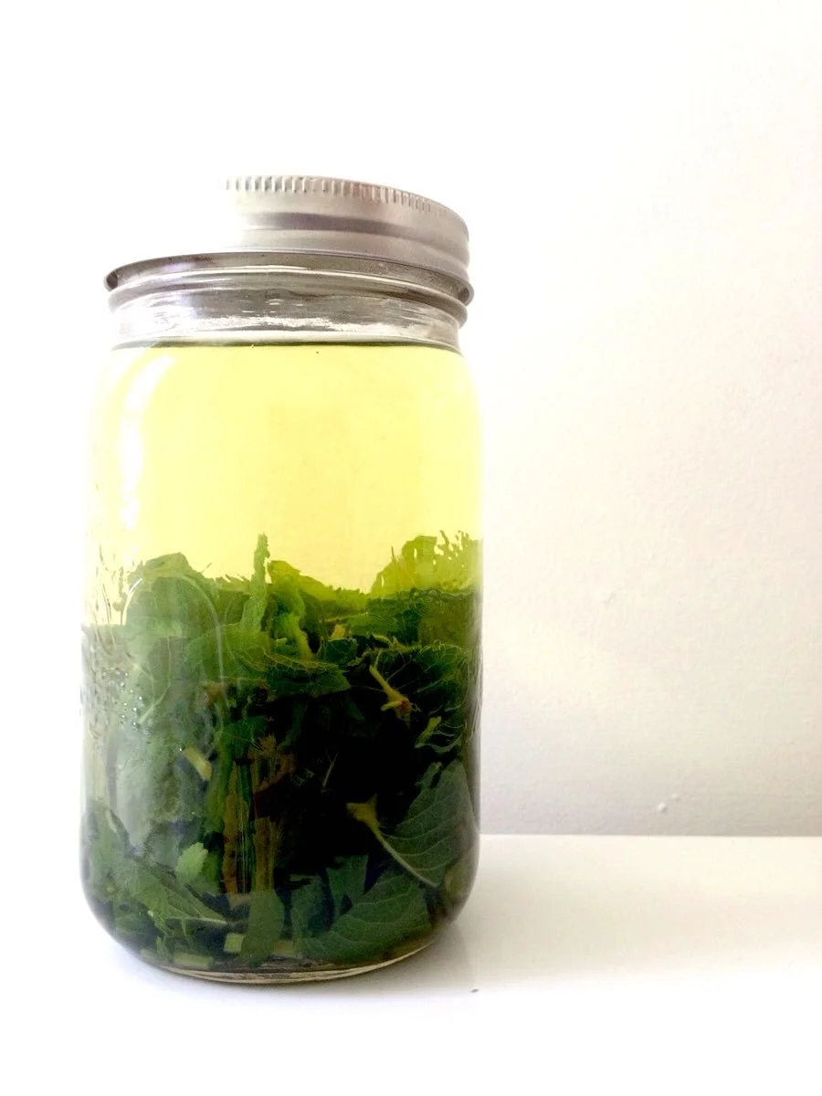 Lemon balm tea steeping 