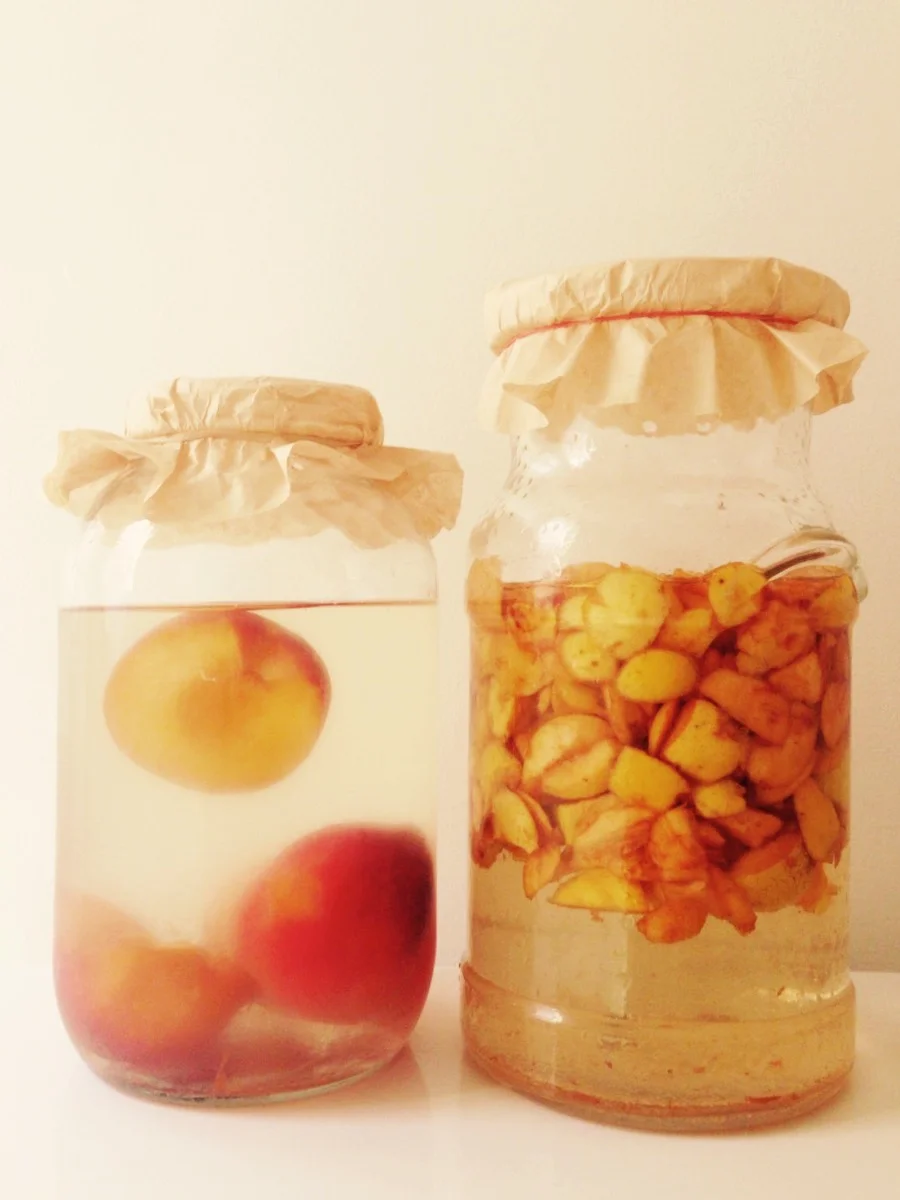 Day 1 - Overripe peaches on the left and apple scraps on the right - note that the water has little colour