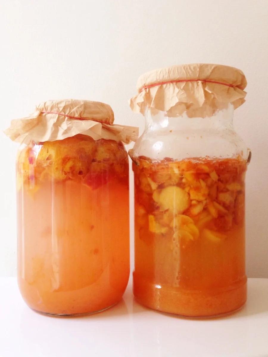 Peach and apple scraps after 1 week - see how the water has taken on the colour of the fruit