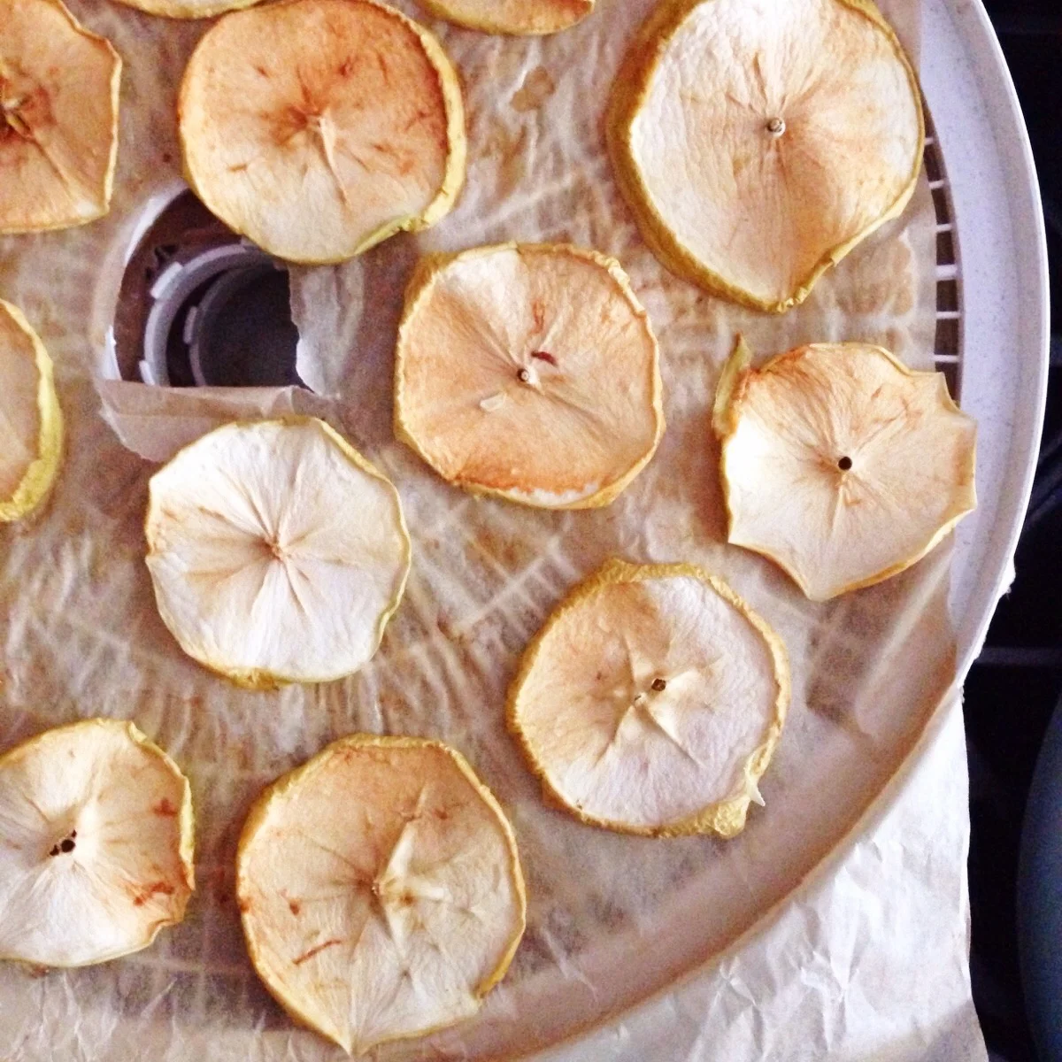 Apple chips sprinkled with cinnamon