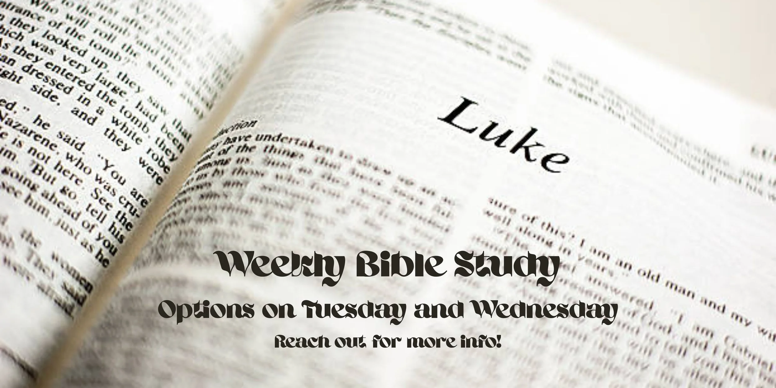 Bible Study