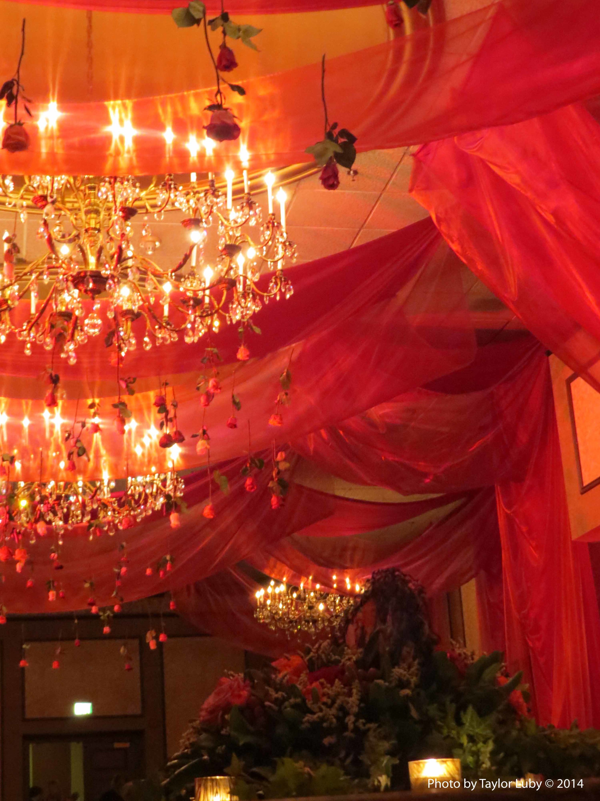 Cincinnati Opera's 2014, Opening Night Dinner