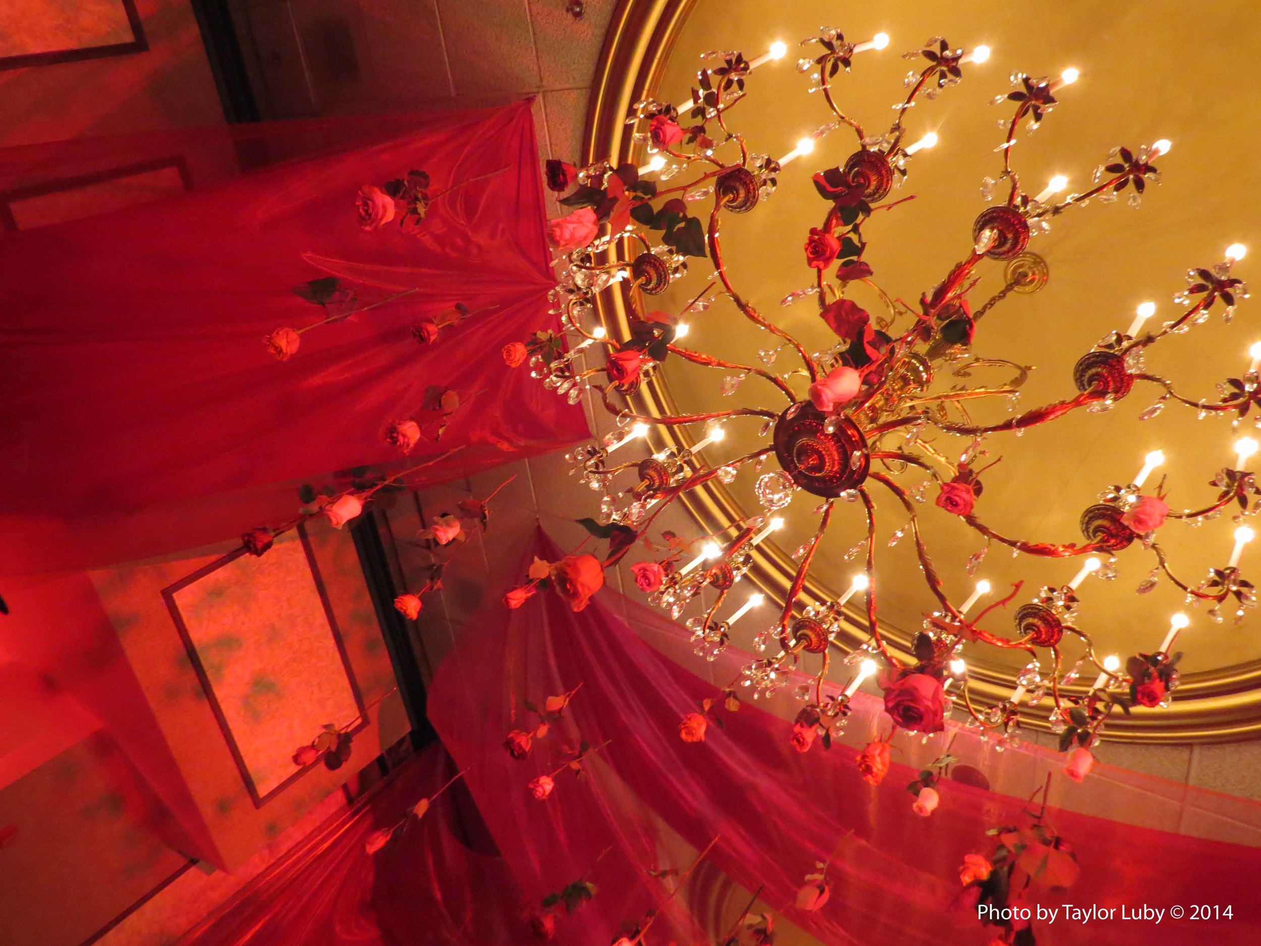 Cincinnati Opera's 2014 Opening Night Dinner