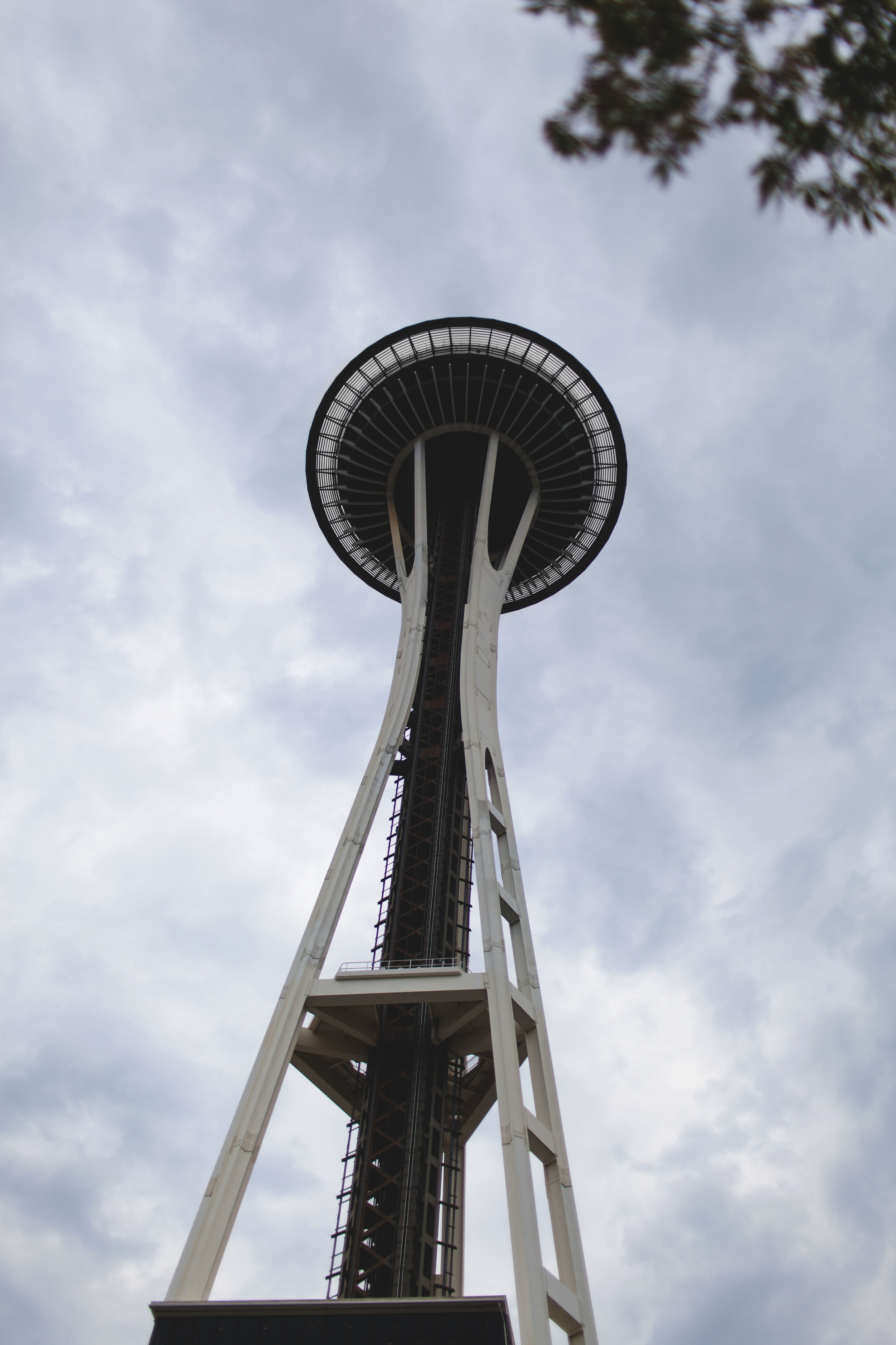IMG_8475 copy.jpg