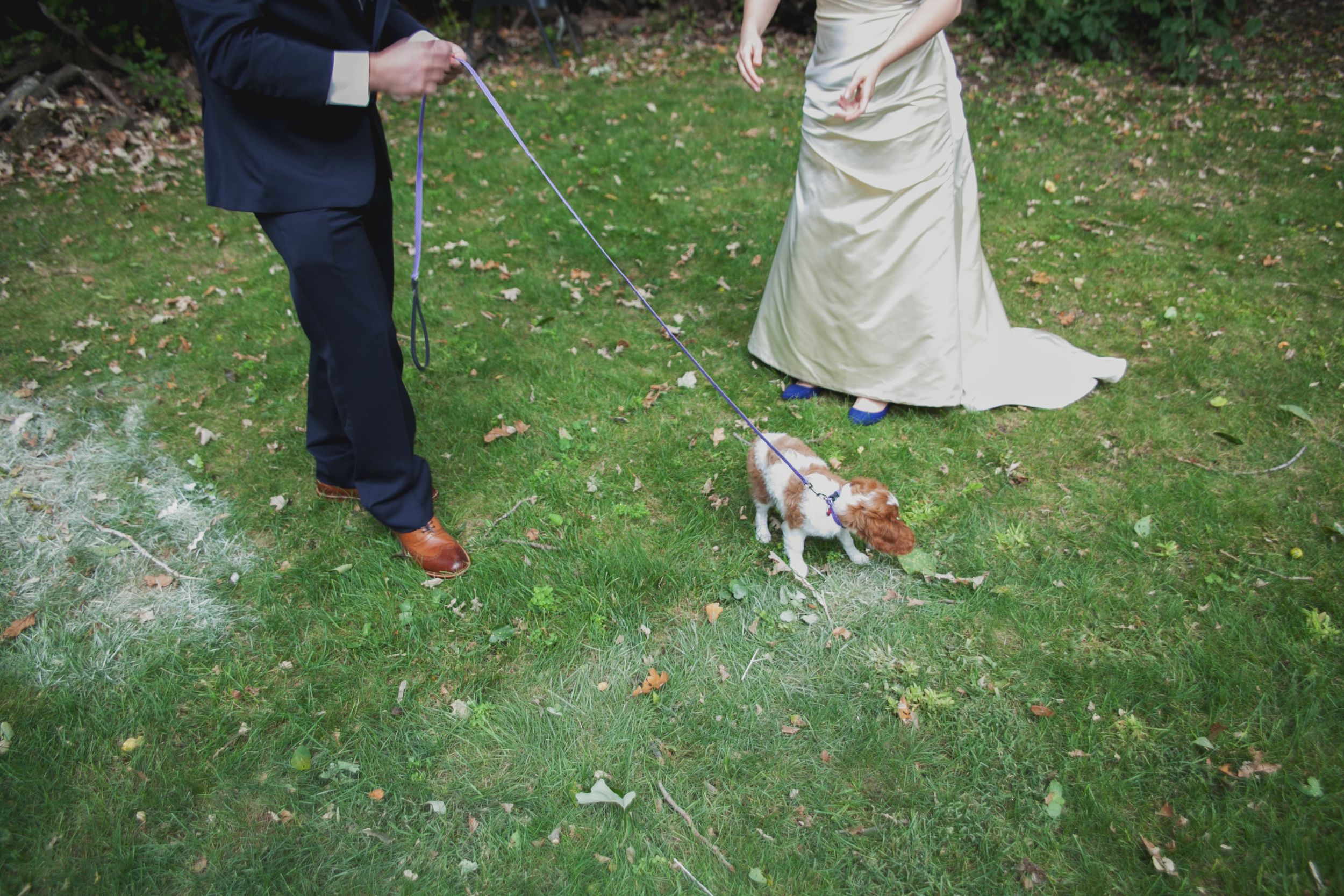 IMG_4926 copy.jpg