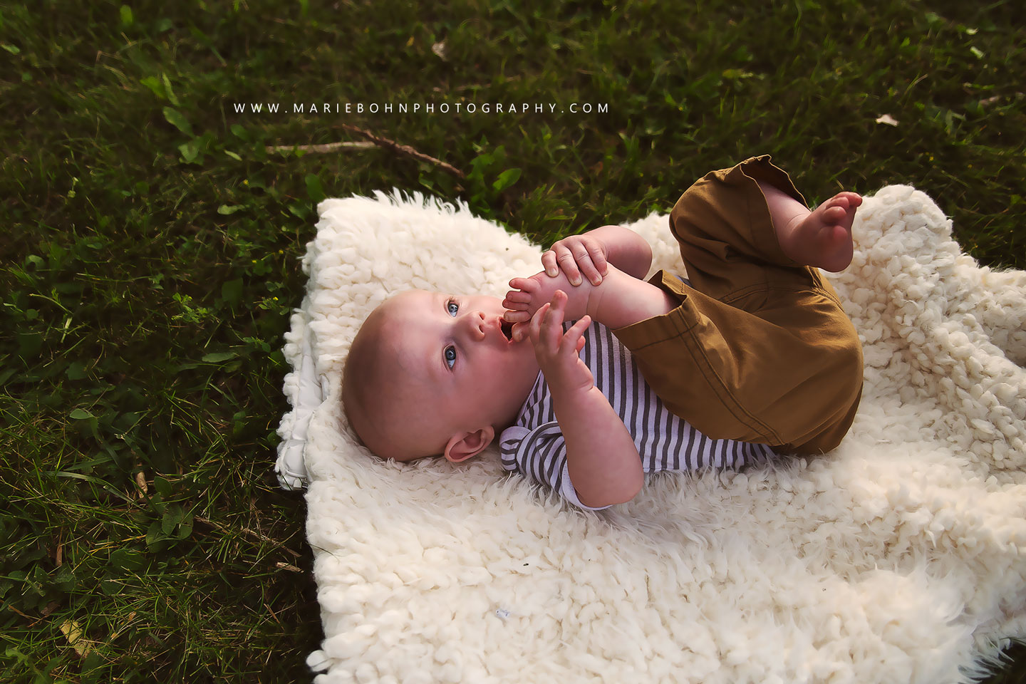 Family Photographer in Batavia NY