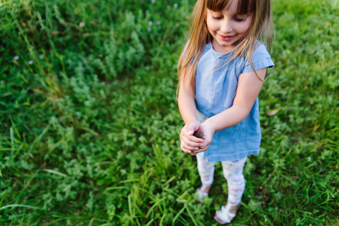 Batavia NY Family Photographer