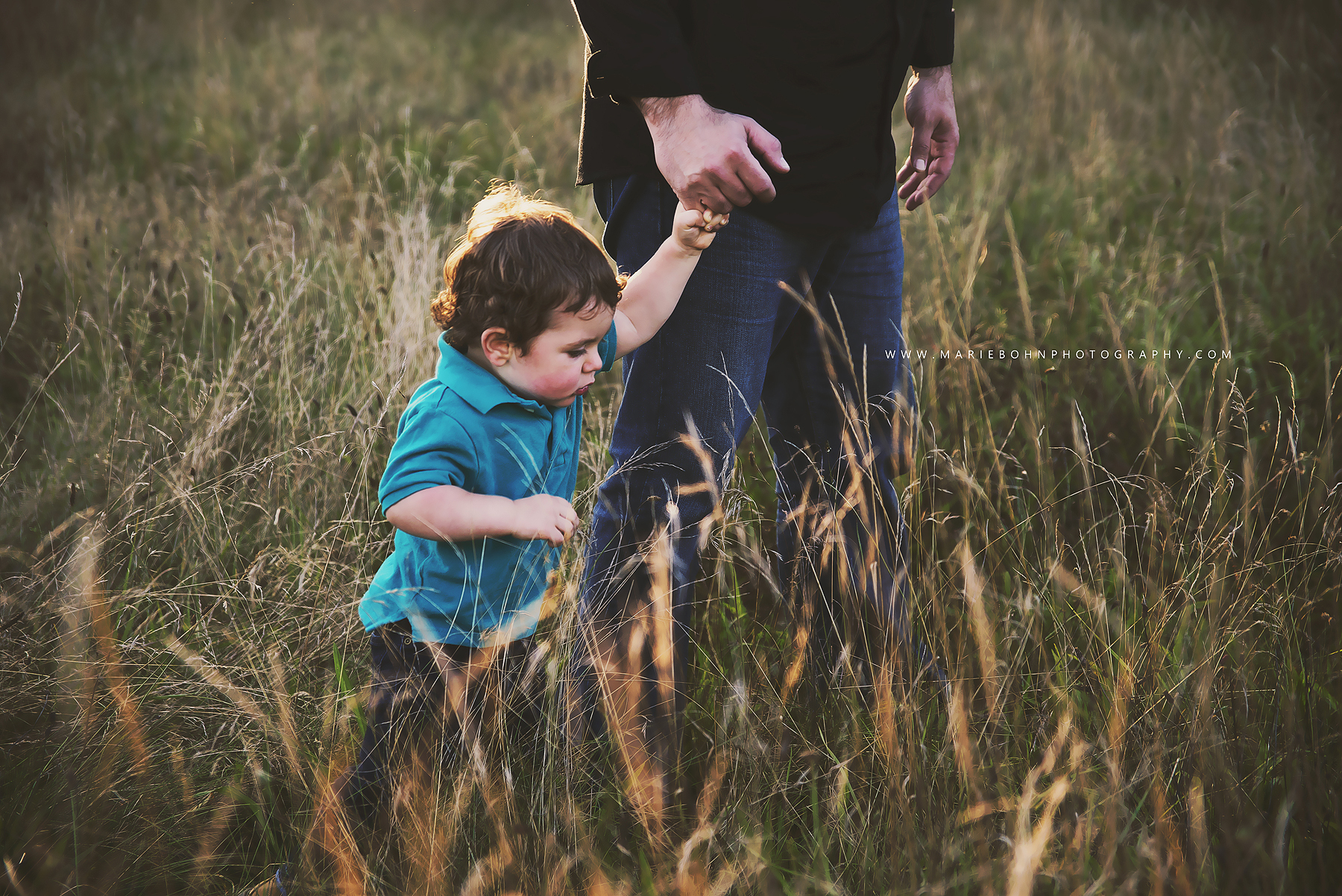 Family Photographer in Batavia NY