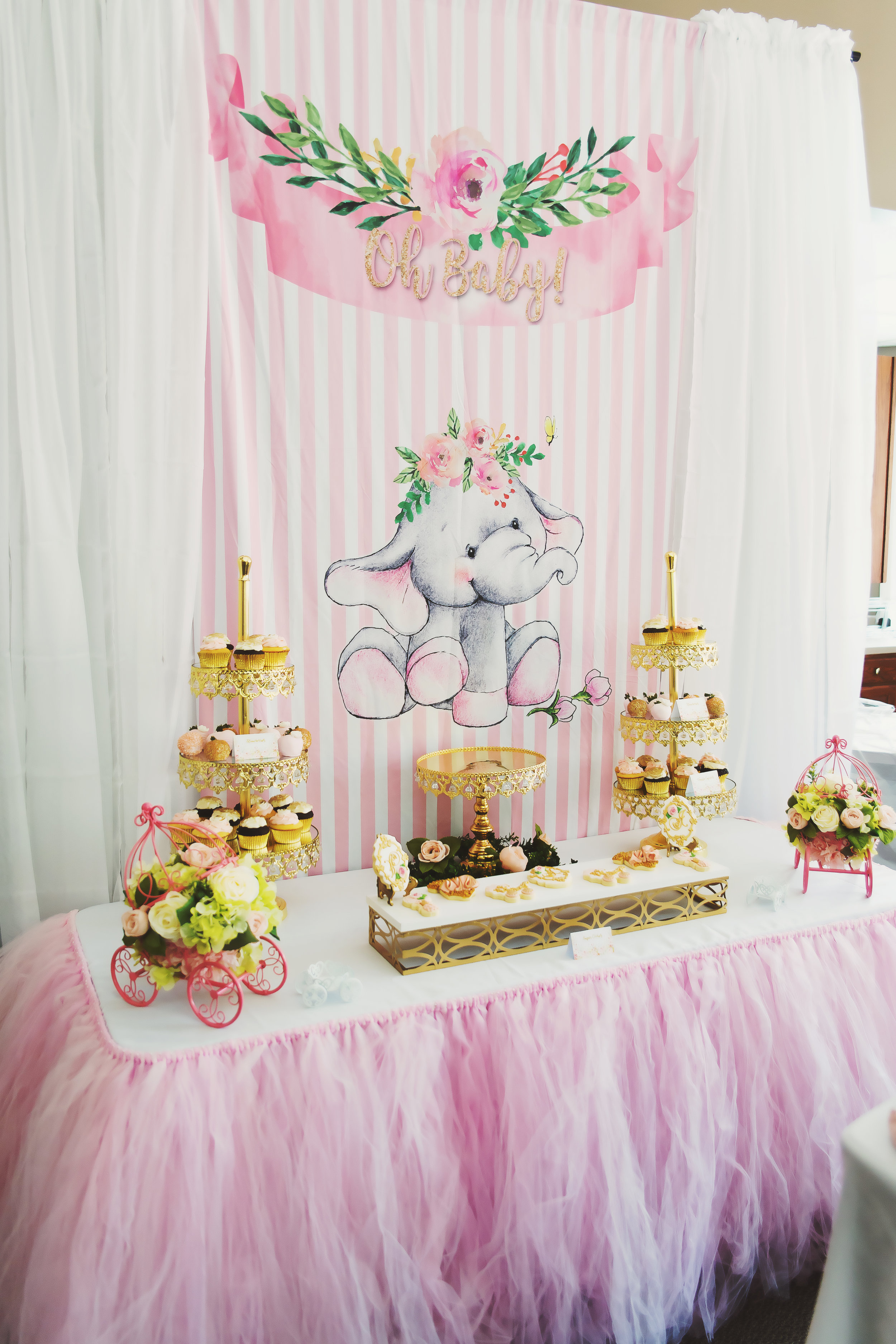 Rochester NY Event Photographer