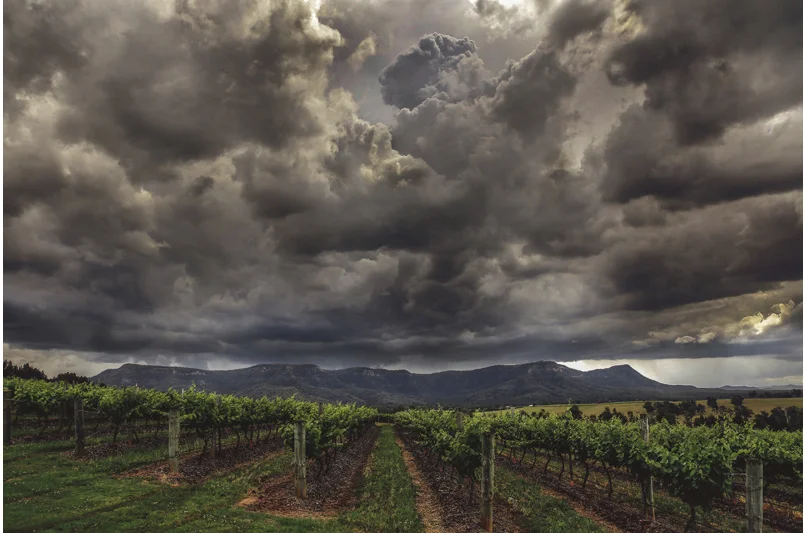 Photo by Chris Elfes 1( Copyright).jpg