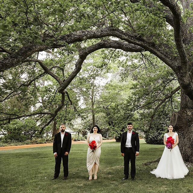 Deahne and Ben and their #bridalparty @bendooleyestate and it&rsquo;s #beautiful #trees . Loved this #wedding . @bendooleyestate @photographyonhermitage #weddingphotography #weddingphotos #weddingdestination #southernhighlandswedding #southernhighlan