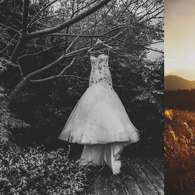 I loved this #wedding of Abby and Ricky. It was one of those days that everything fell into place. Live when that happens. @photographyonhermitage @chateauelanhuntervalley @wornoutwares_wowflowers_ @huntervalley #huntervalleyweddings #loveyou #weddin