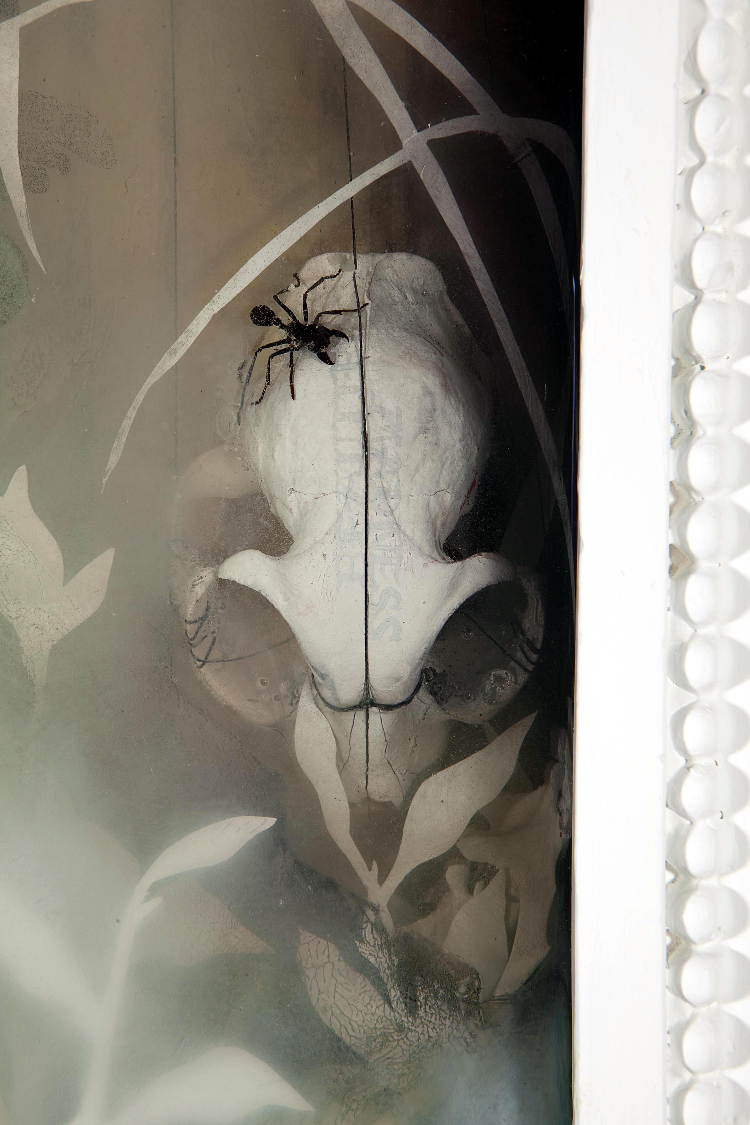 Detail of the five inch deep cavity, lower part containing a cat skull suspended by thread. Bullet ants, mylar orchids, lace, and shells.