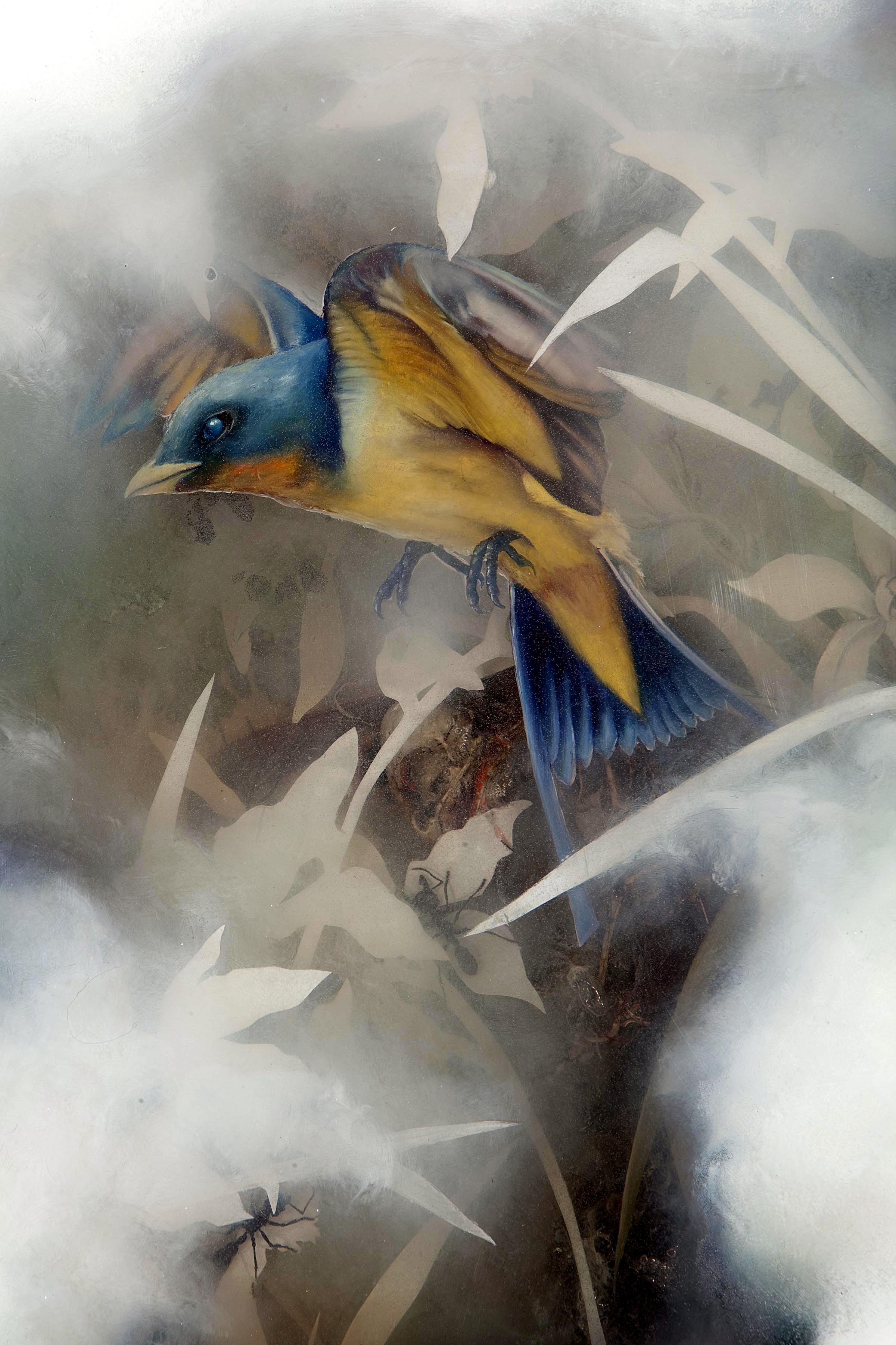 Detail of painted bird and bird skeleton... 
