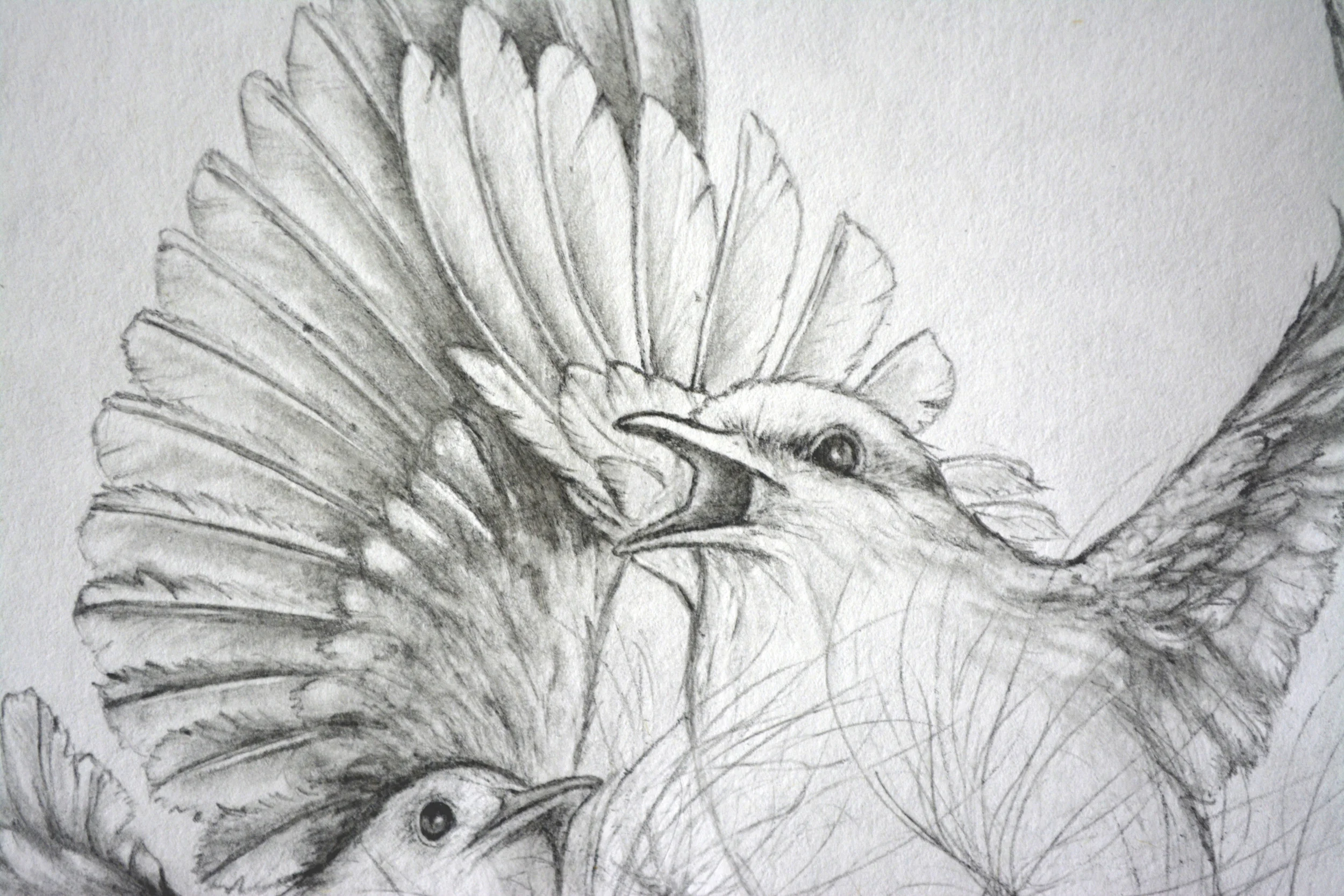 detail2.jpg