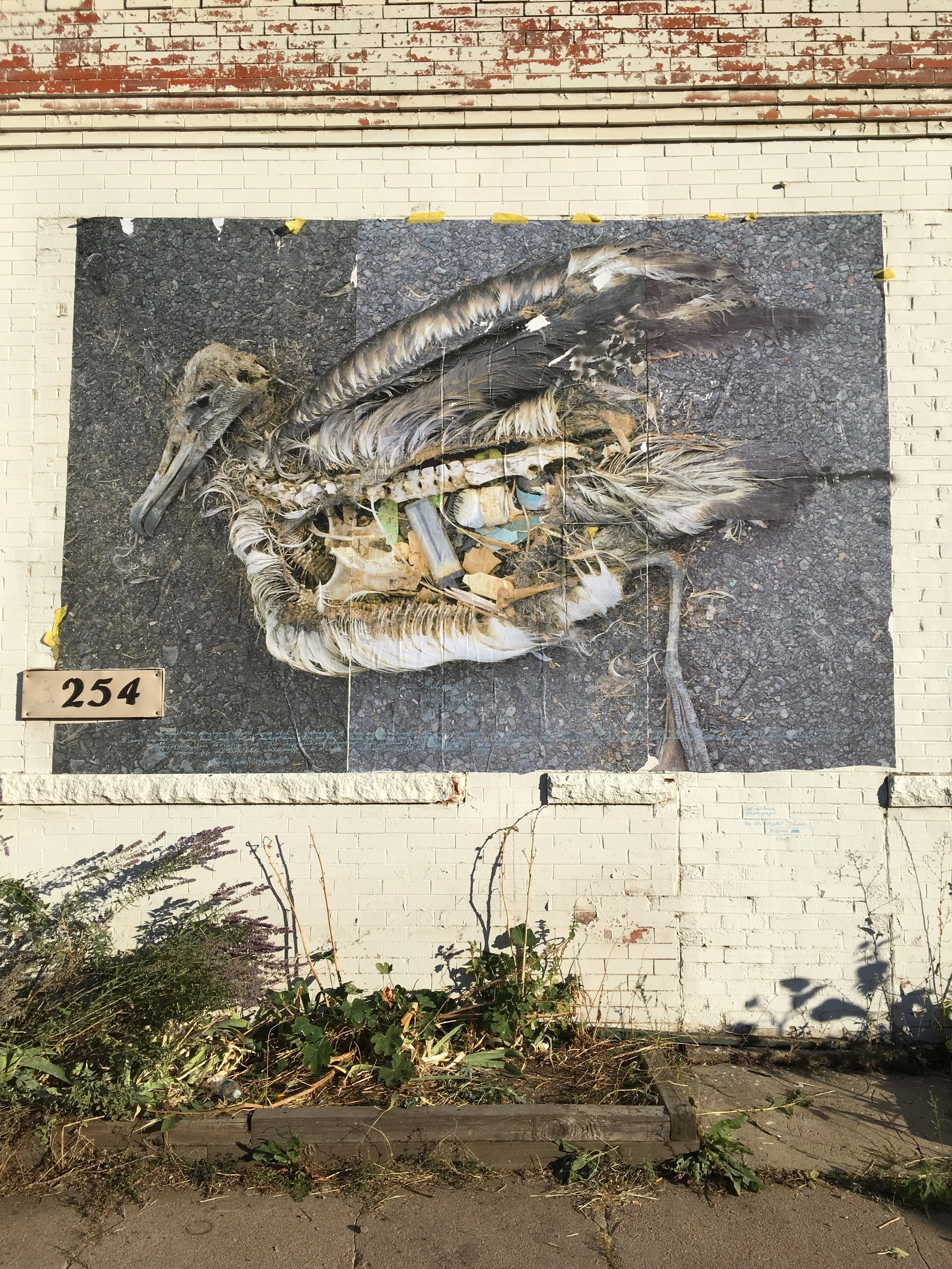  Chris Jordan’s work, installed.  