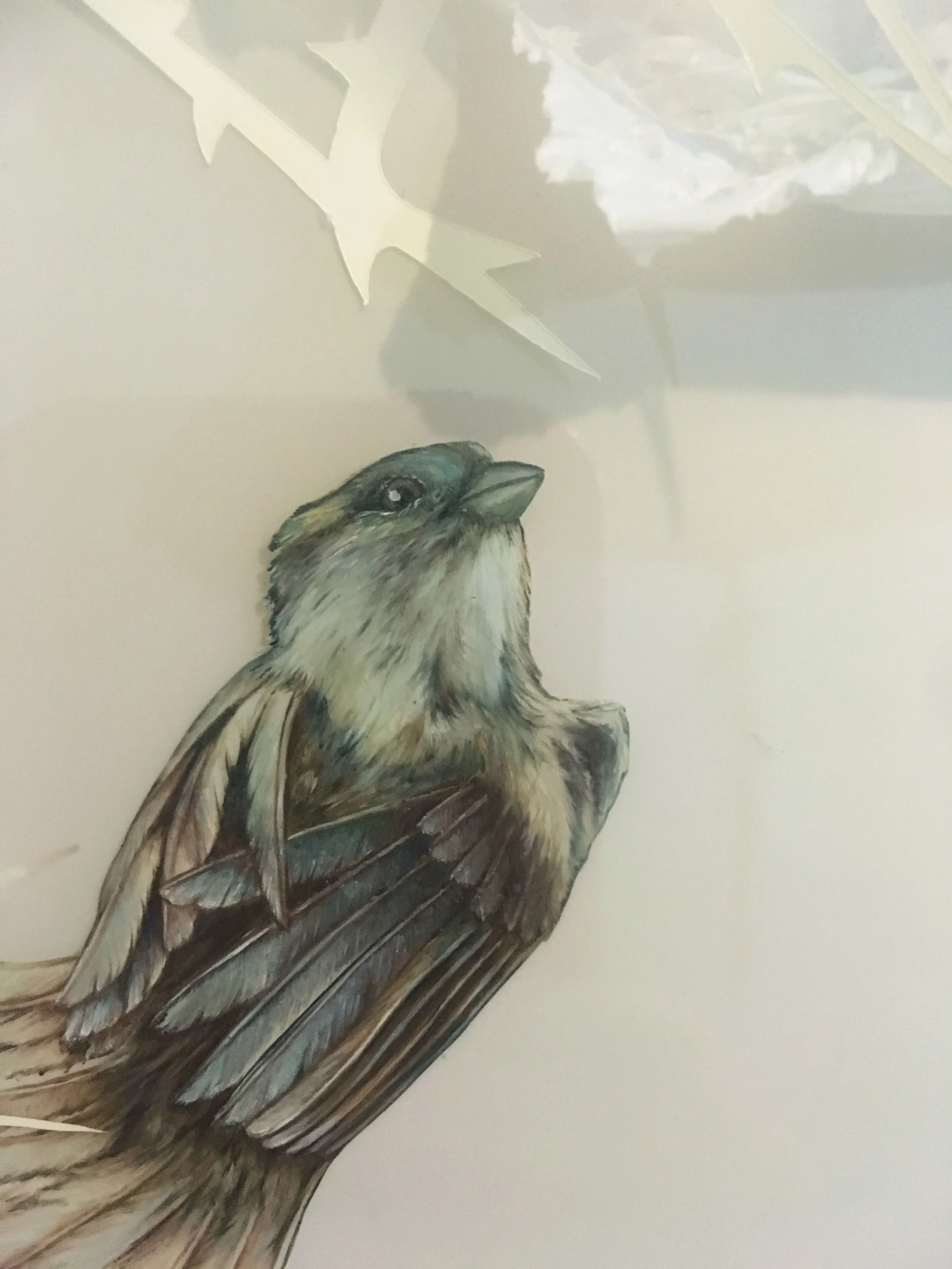 minutiae 26 detail.jpg