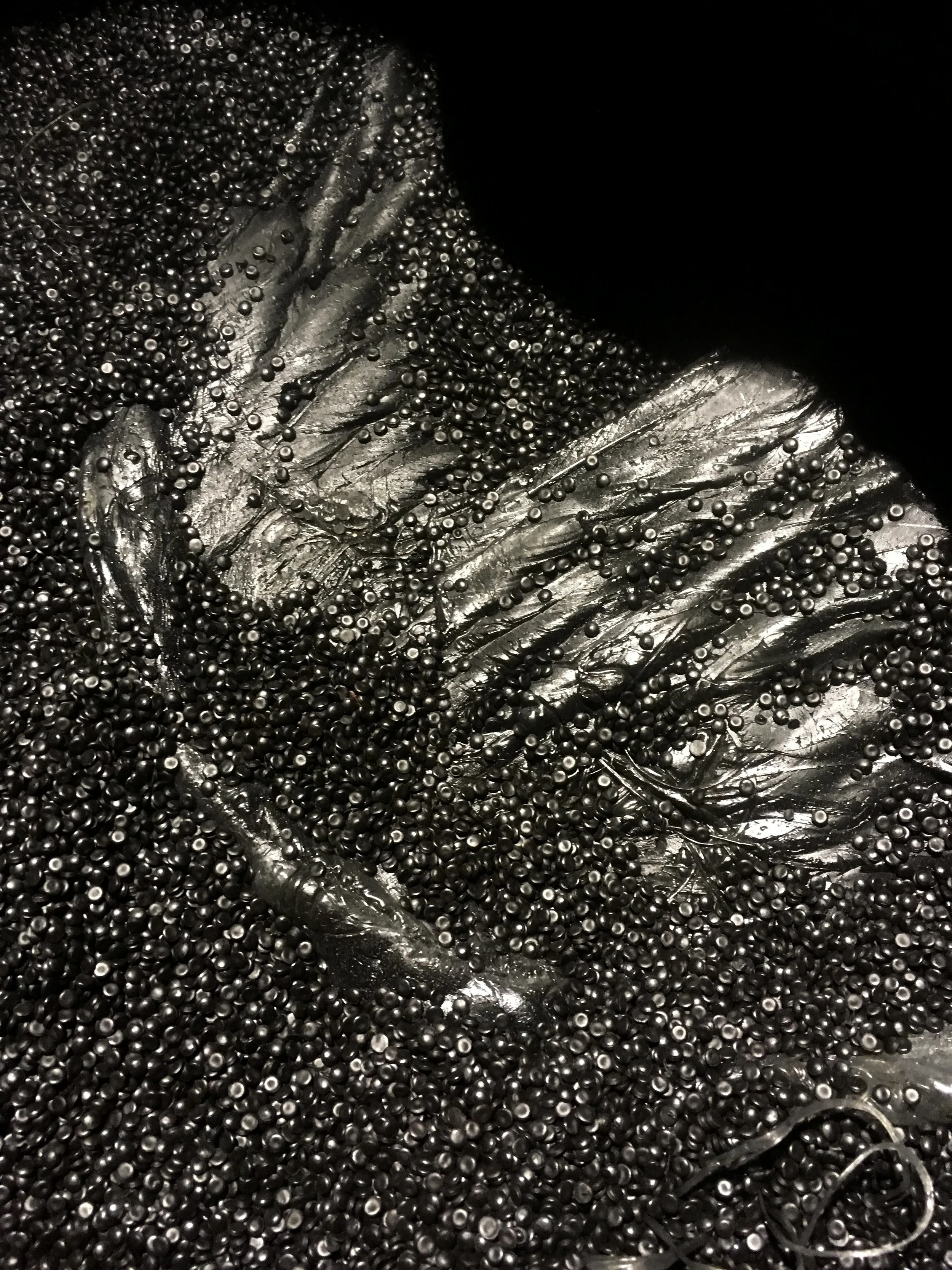  Installation Detail of recycled HDPE wing buried in the pellets. Thirty recycled wings were strewn about the installation. The center sculpture contained “virgin” (non-recycled) plastic. It was important to have both kinds of plastic because recycli