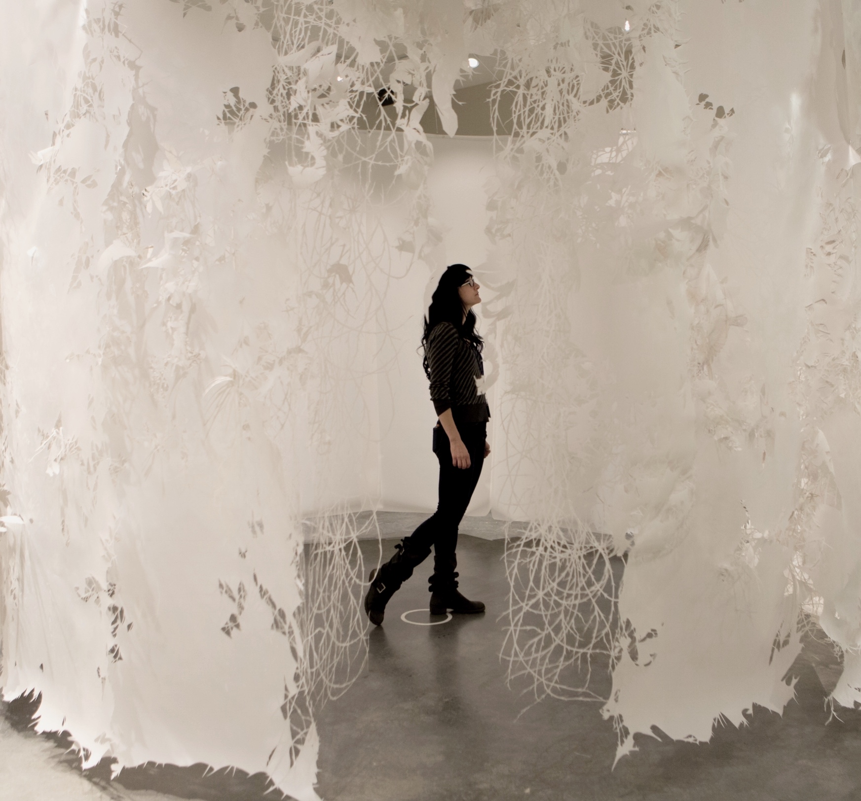 The Relentless Memorial Mylar, aluminum, nylon, oil paint, magnets. 12' x 12' x 9'. 2016. This installation is a response to the psychological need to grieve the deaths we are witnessing, and in so doing, acknowledging our ambivalence during this very unstable time. Symbolized by white mourning doves (released at funerals and memorial services) and manic blackberry brambles (an invasive species), this installation becomes a place of mourning, reflection, and rest. It allows for the safe self-refelection of our personal participation and contribution to both positive and negative aspects of our rapidly changing, collapsing world. The instalation is made of petroleum products, intentially pointing at our dependence on this ubiquitous material, as well as its critical implication into the onset of what is being called the Anthropocene Age. To read my thesis, please visit the "words" page on this website. 