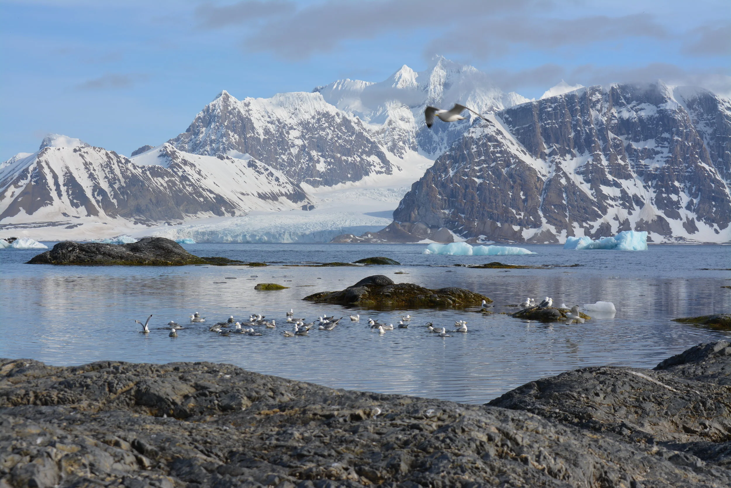 DSC_0087.jpg