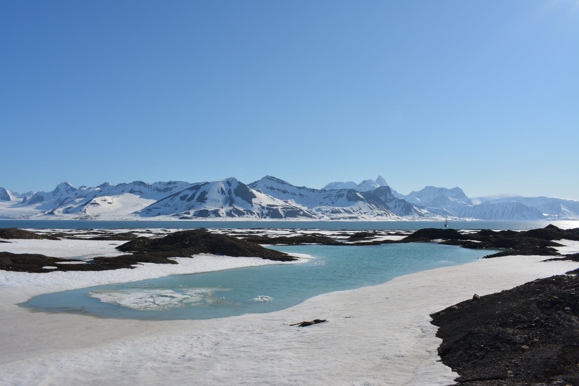 DSC_0049.jpg