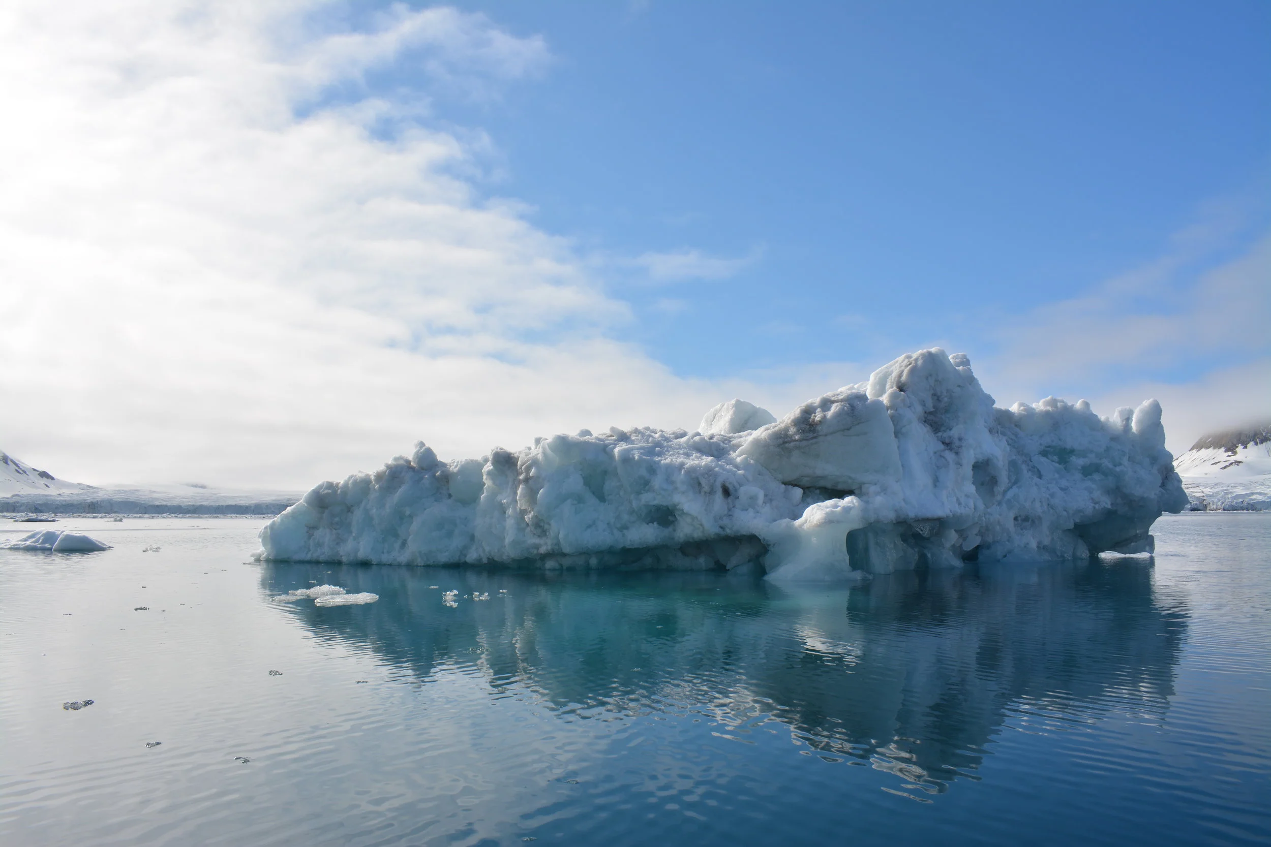 DSC_0186.jpg