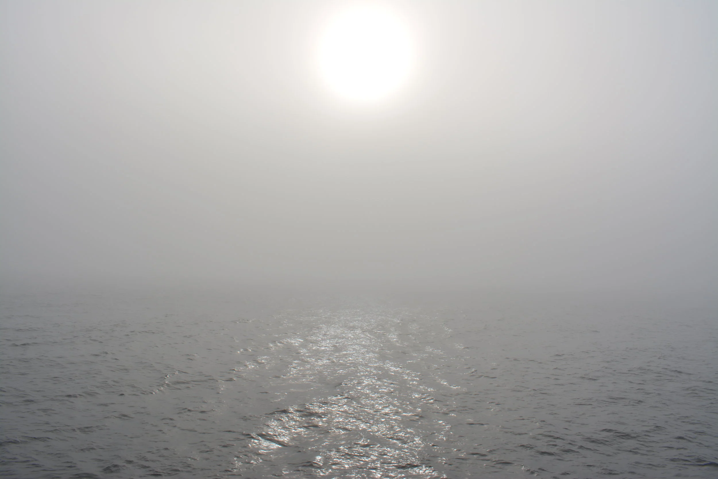 DSC_0133.jpg