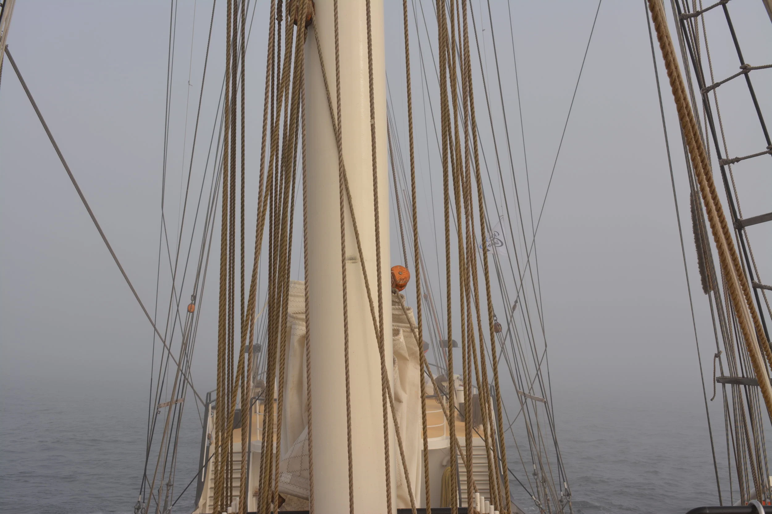 DSC_0143.jpg