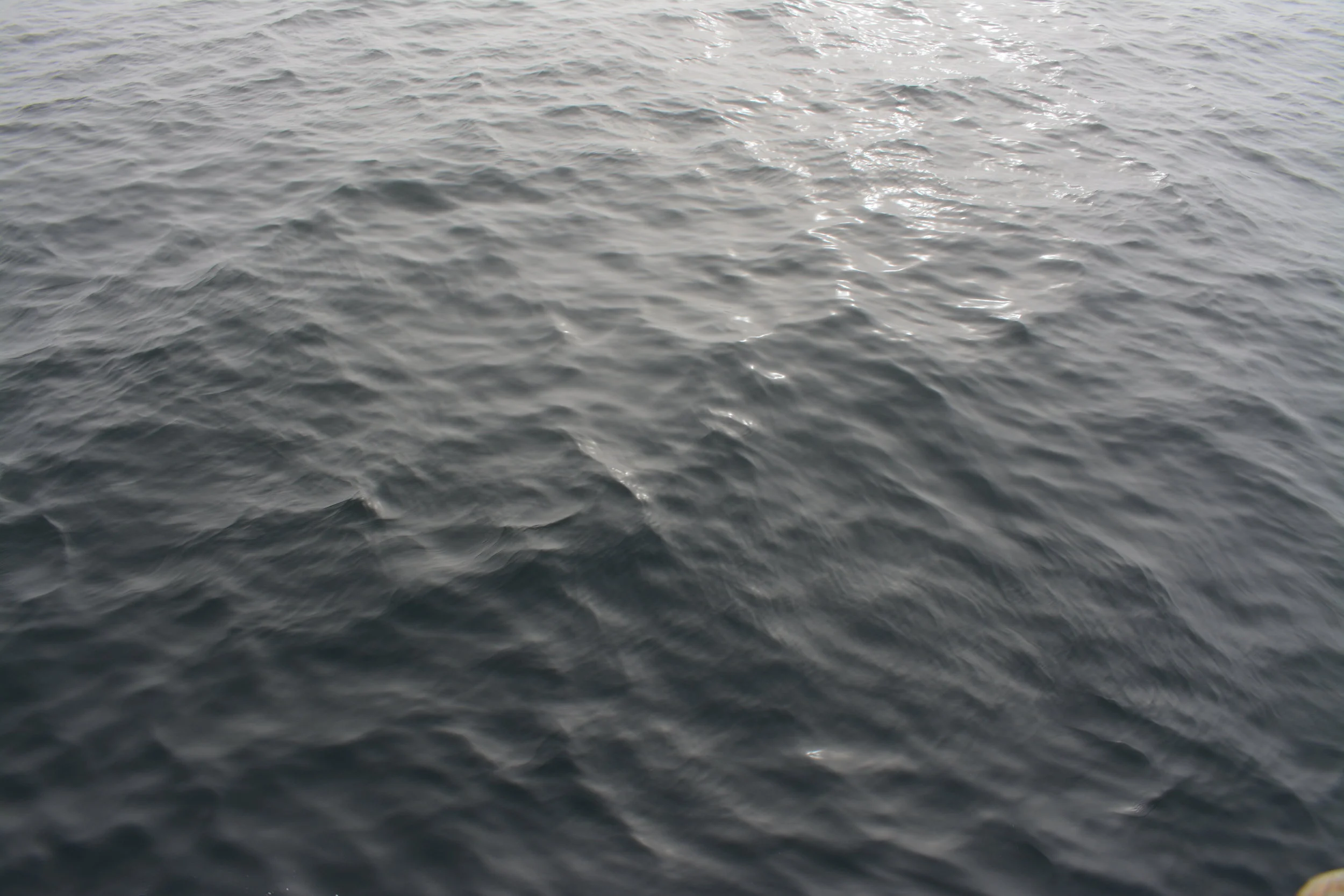 DSC_0141.jpg
