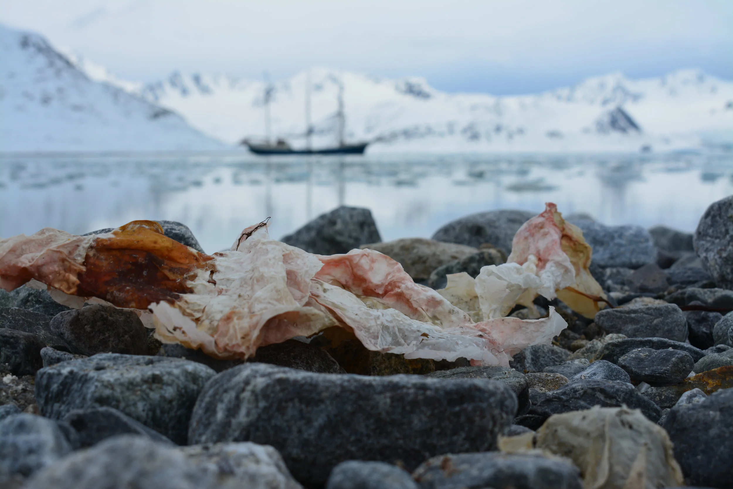 DSC_0150.jpg