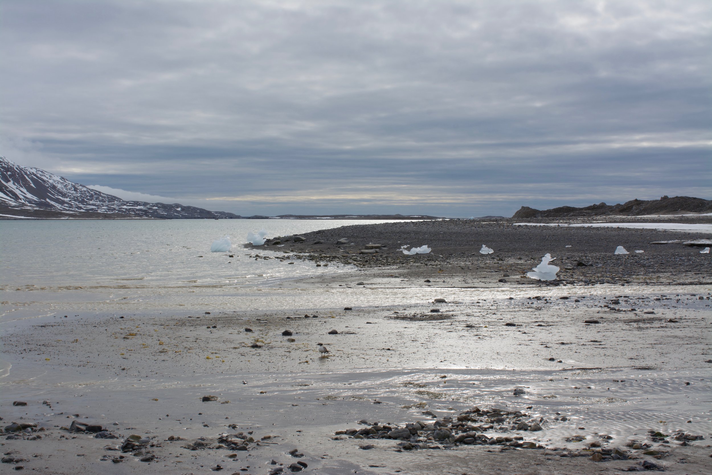 DSC_0531.jpeg