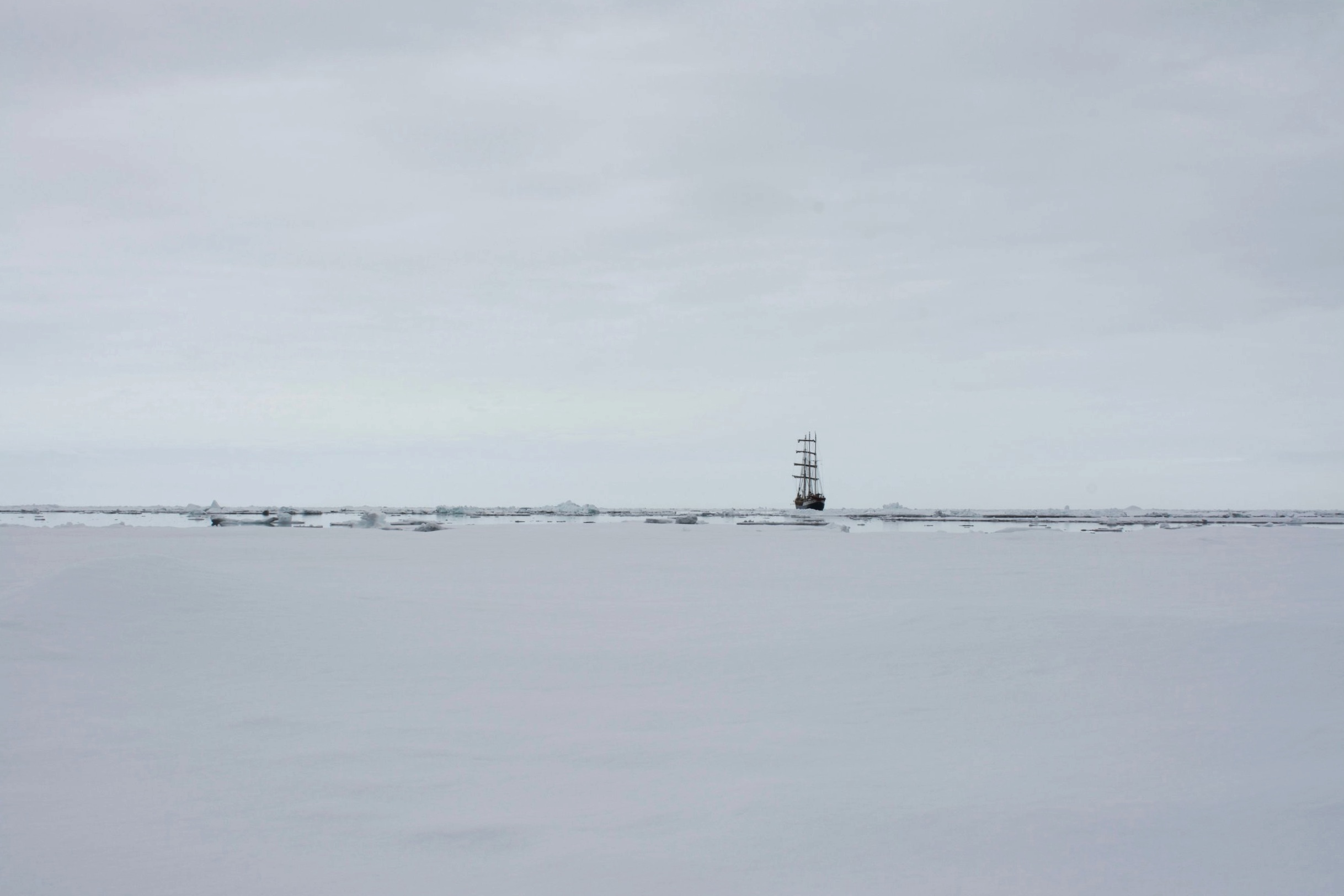 DSC_0697.jpeg