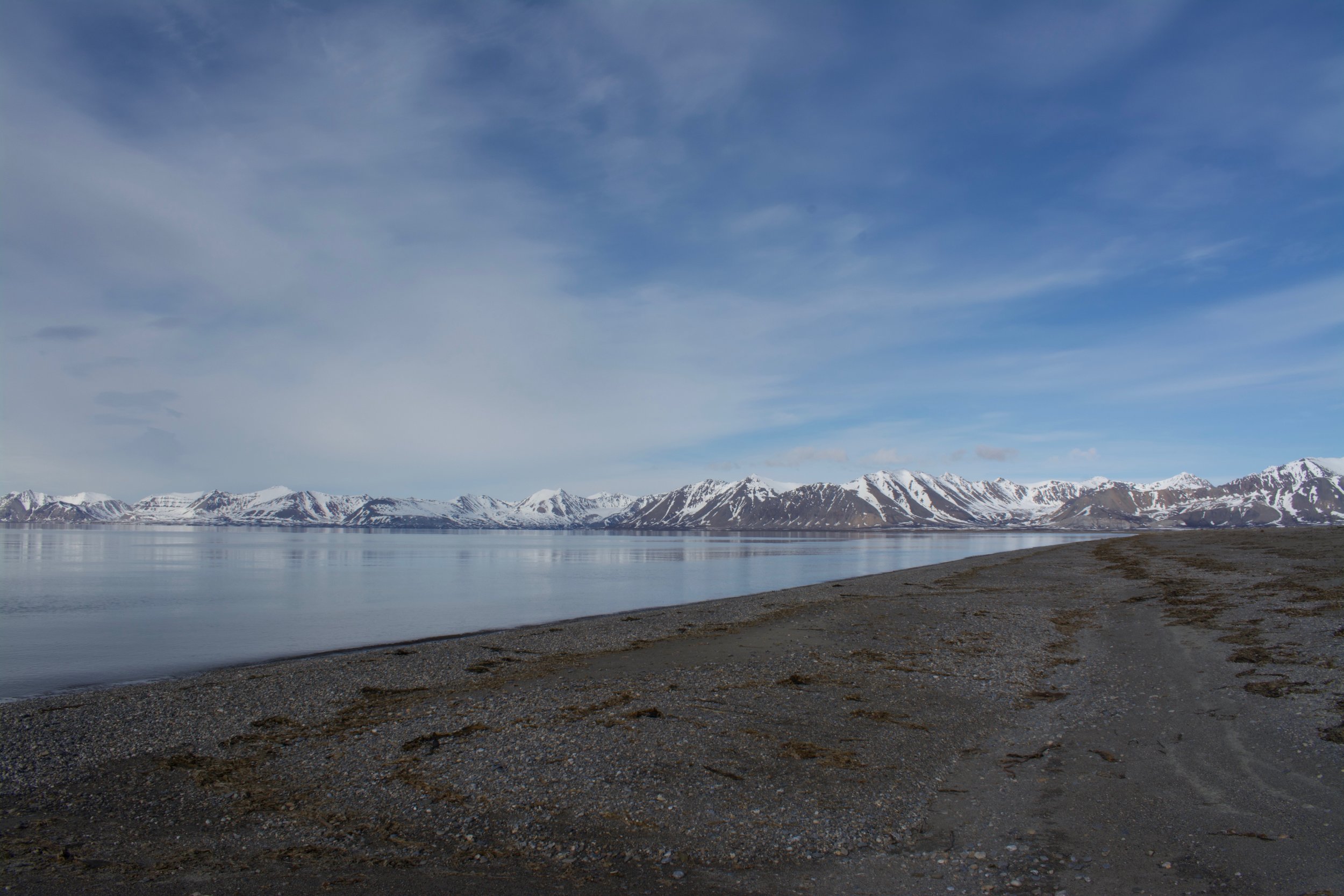DSC_0463.jpeg