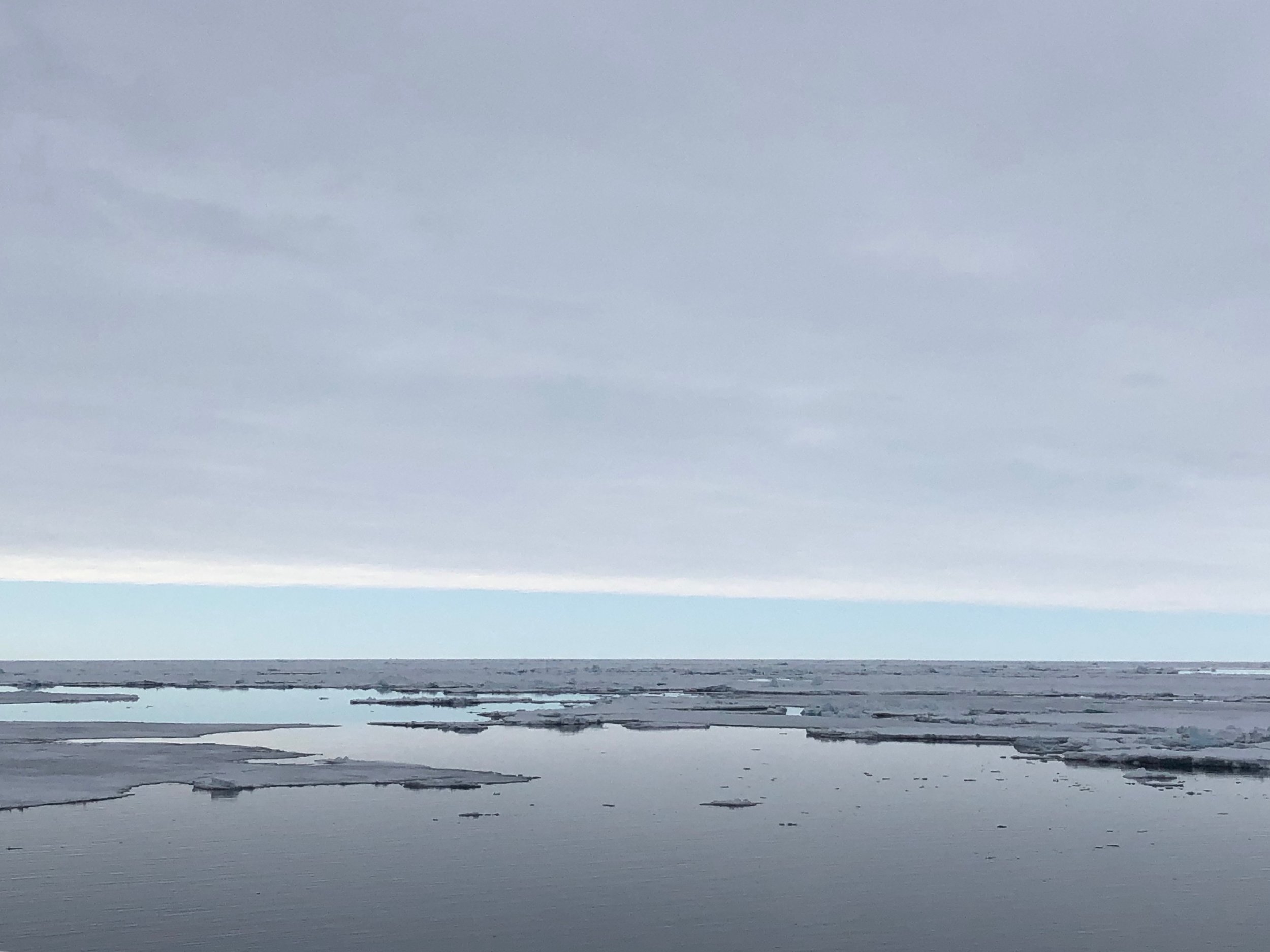 700 miles from the top of the world, our ship got stuck in the ice… and it was amazing.