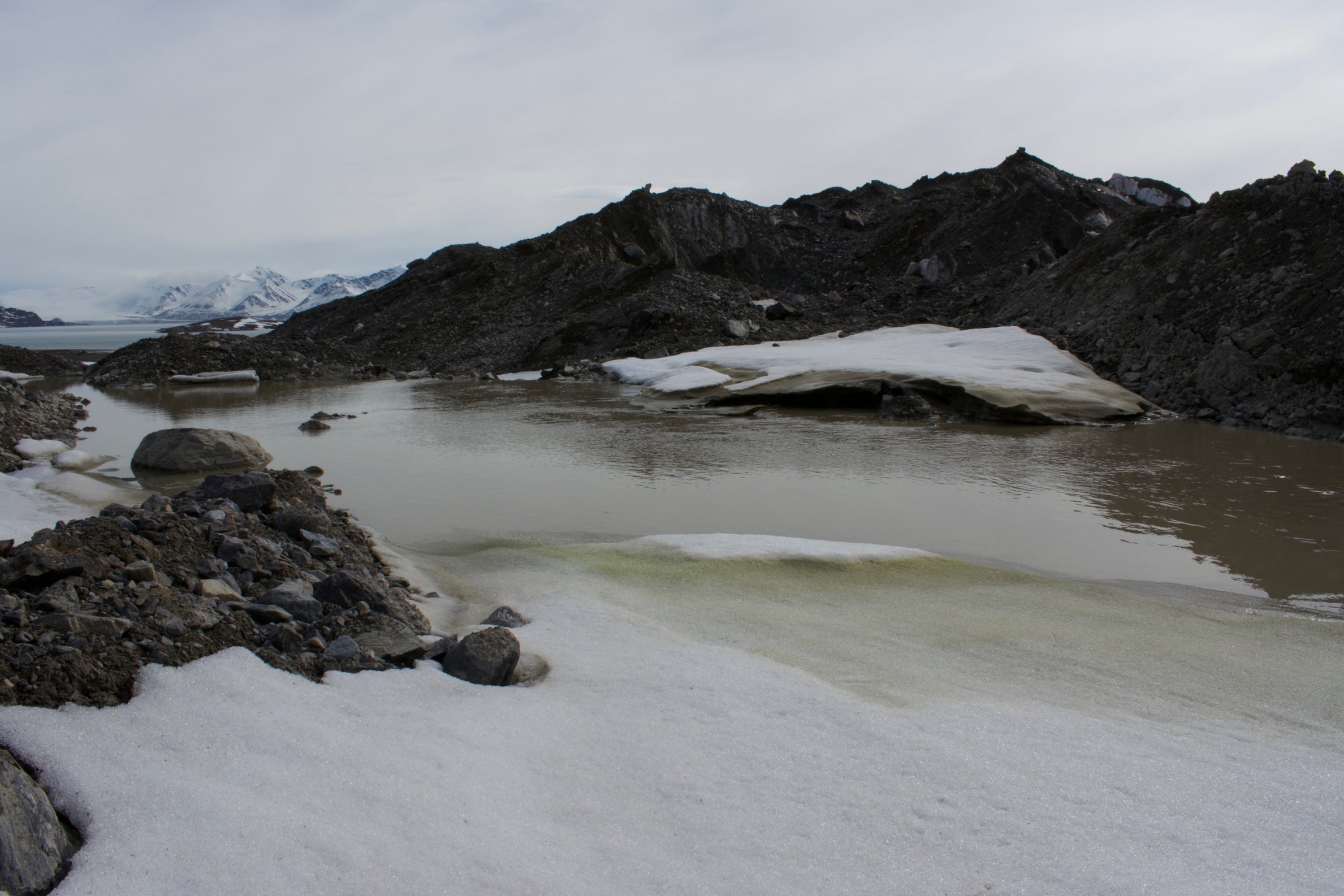 DSC_0442.jpeg