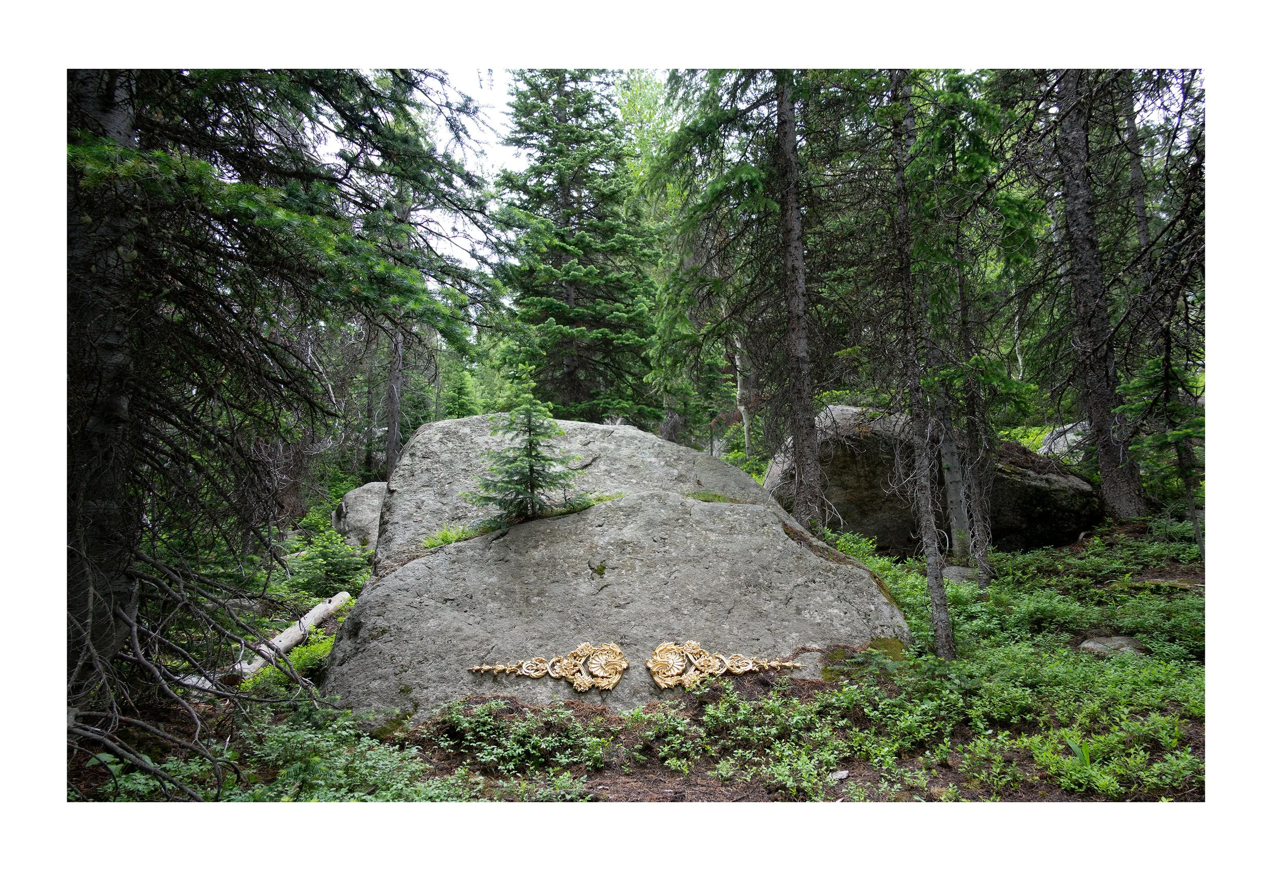 untitled_6 smaller.jpg