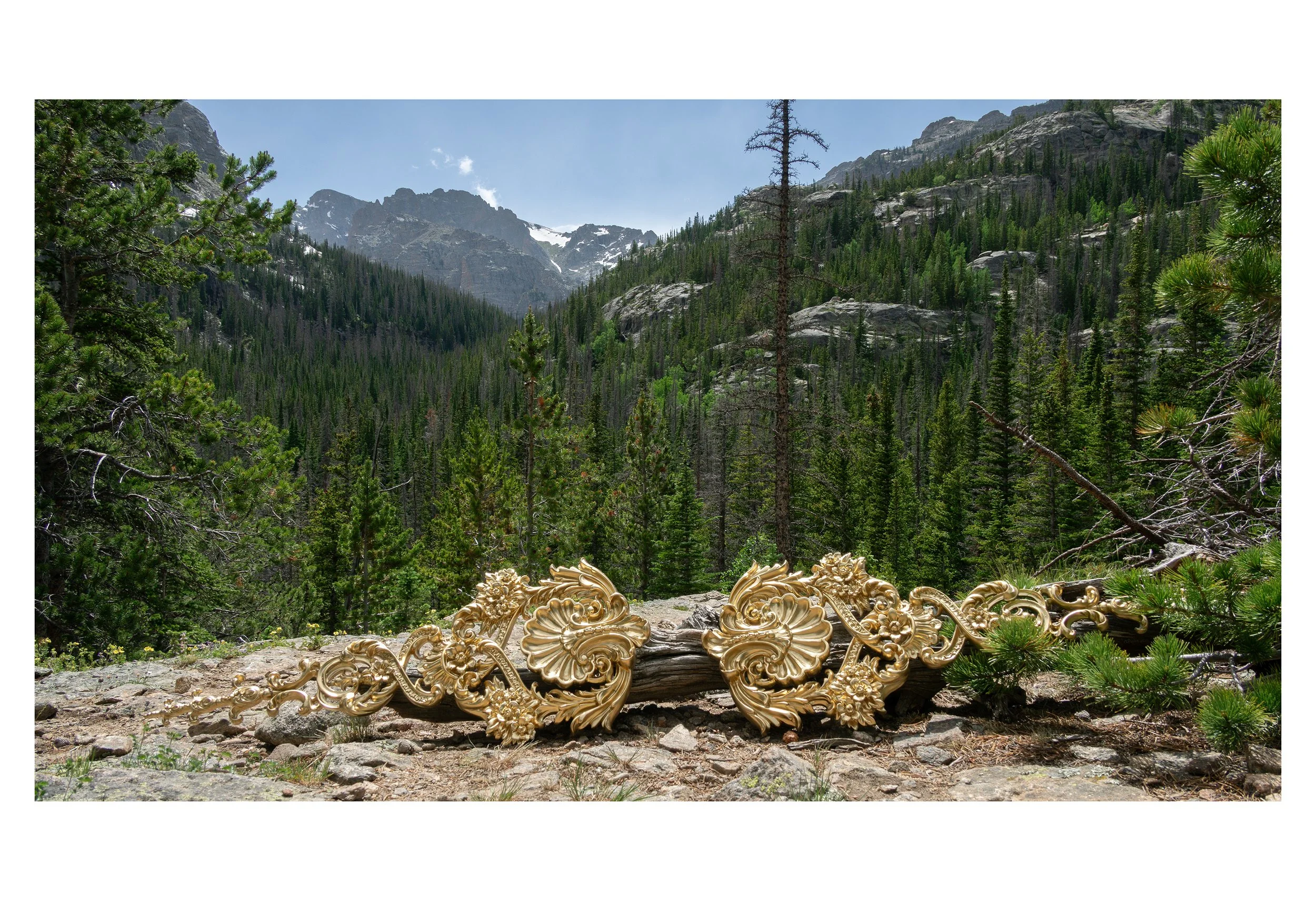 Untitled-1 smaller.jpg