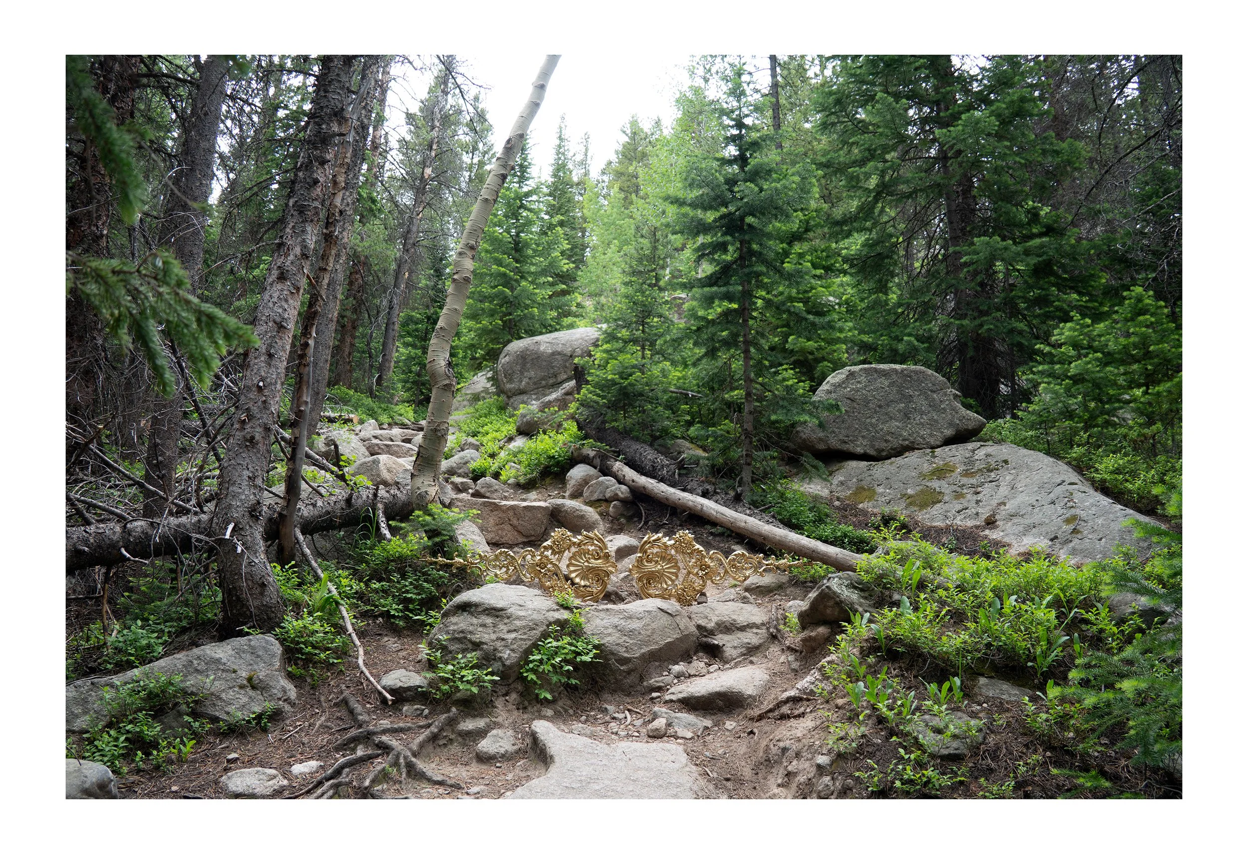 Untitled-5 smaller.jpg