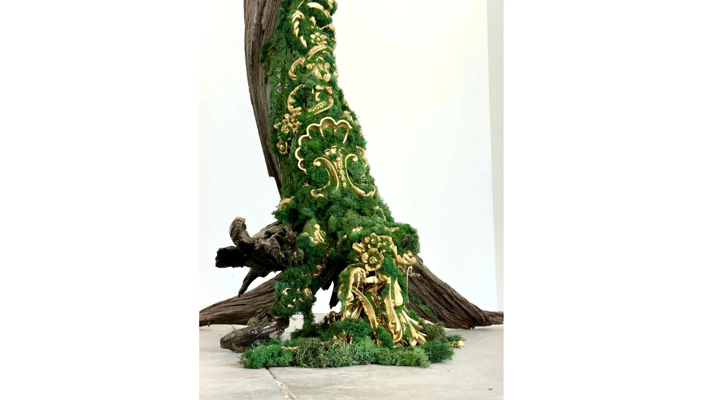 detail of moss 2.jpg