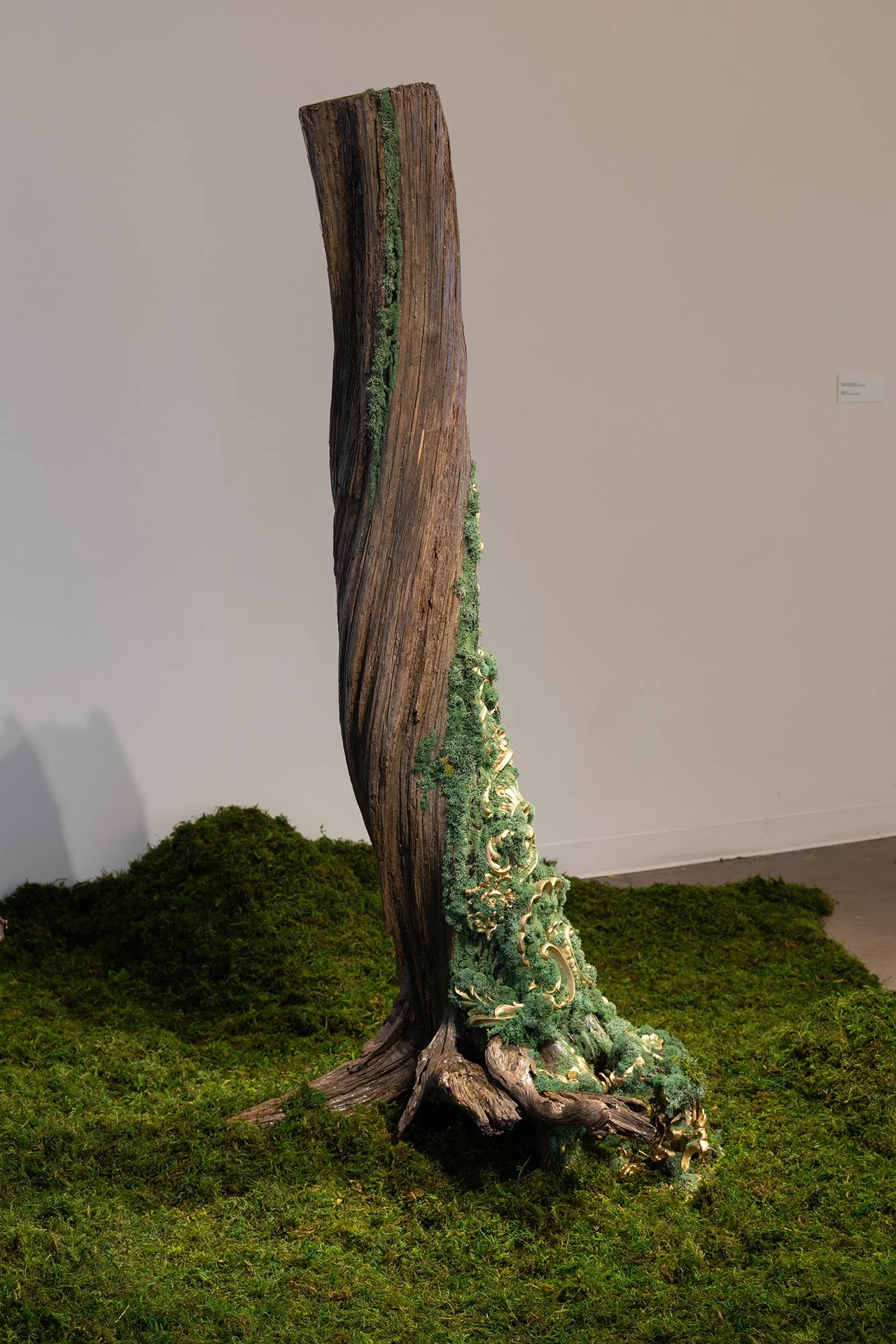    The Way is the Way    Ponderosa pine tree, moss, sawdust, appliques, paint  6 × 3 × 3 feet    Ancestor    Ponderosa pine tree, moss, sawdust  4 × 3 × 3 feet    Installation dimensions with moss: 10 × 10 × 2 feet 