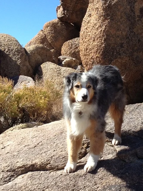 Cubby again, this time at 13 years old.