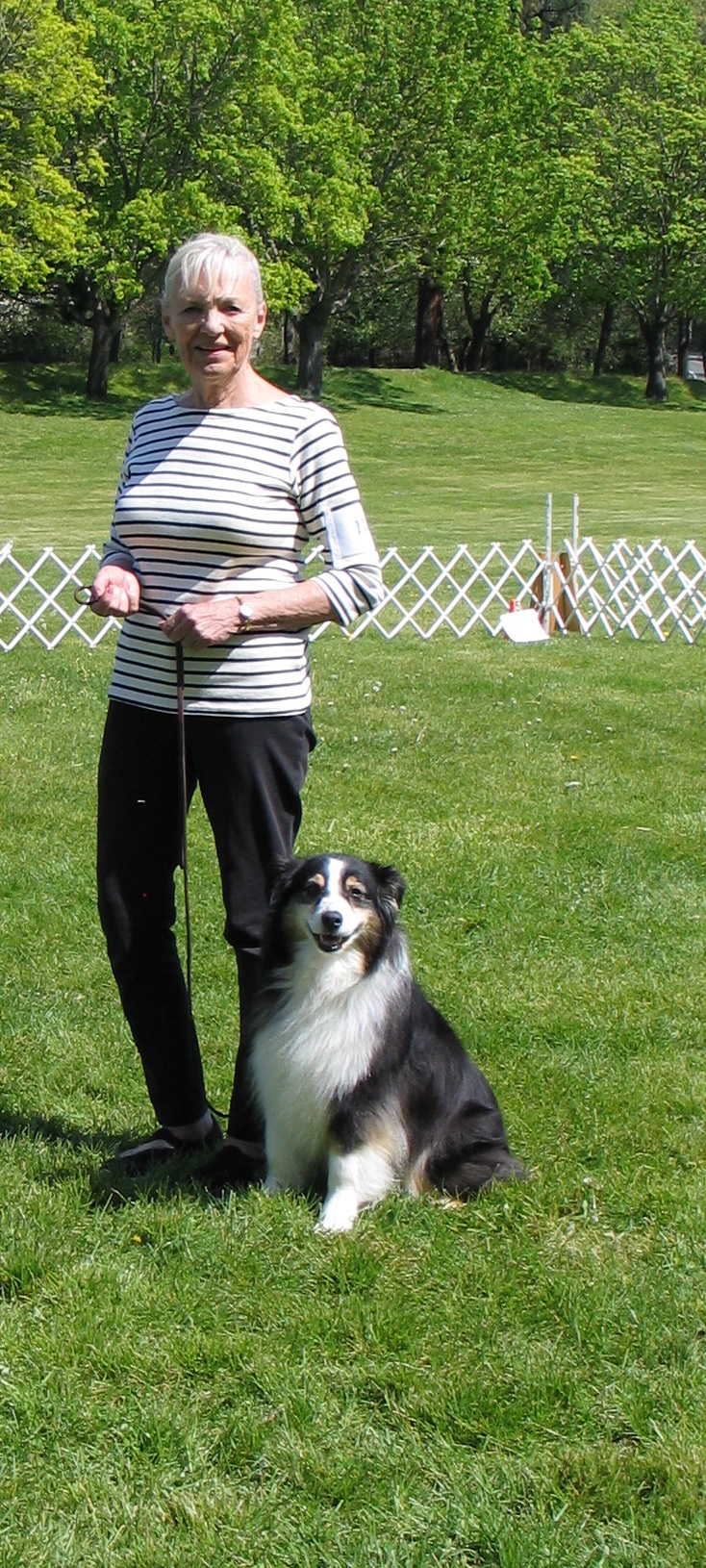 Nugget, who earned her UD title at the same April show, is Nitro's older half sister. Way to go, Nuggie!