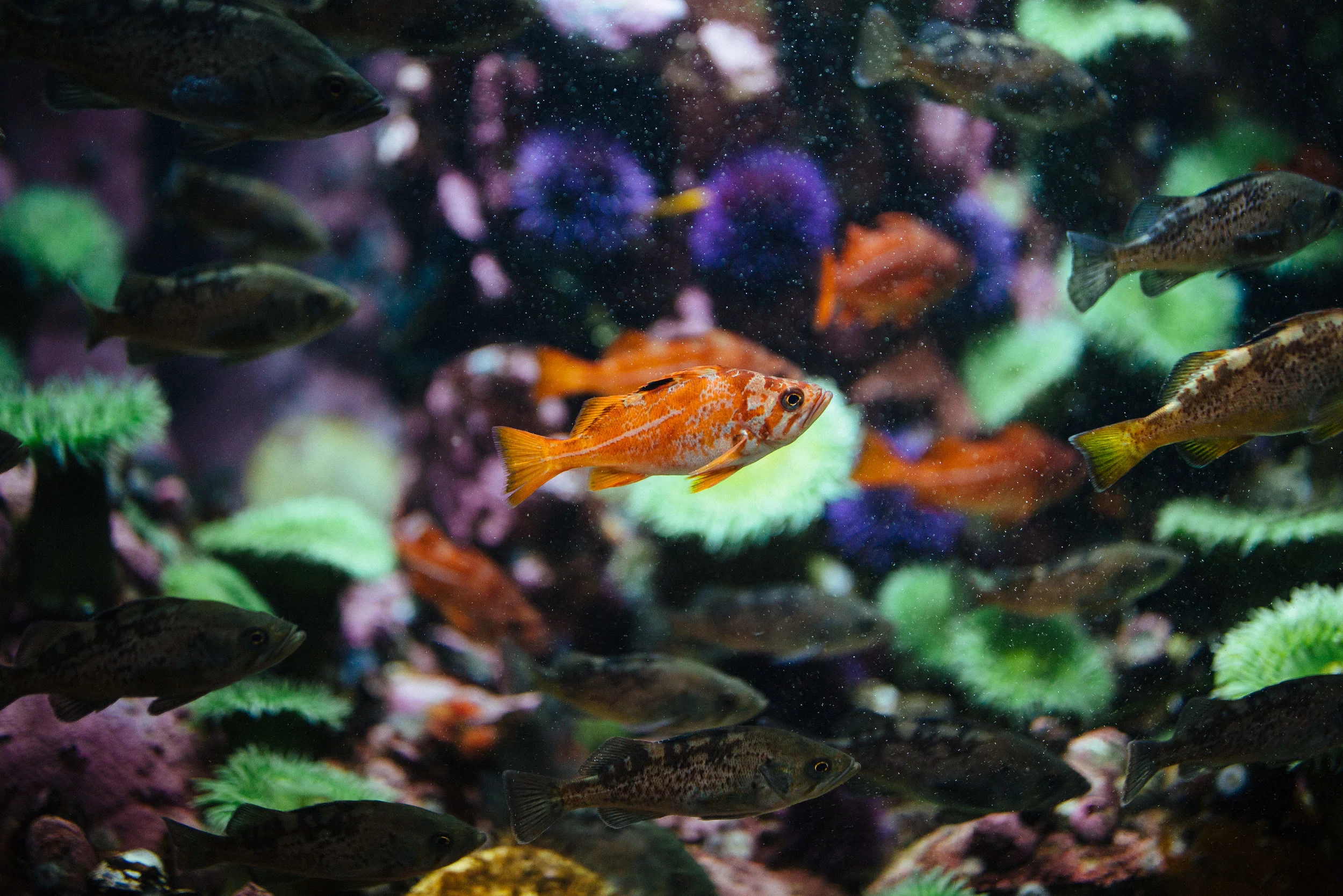 IMG_9642.jpg