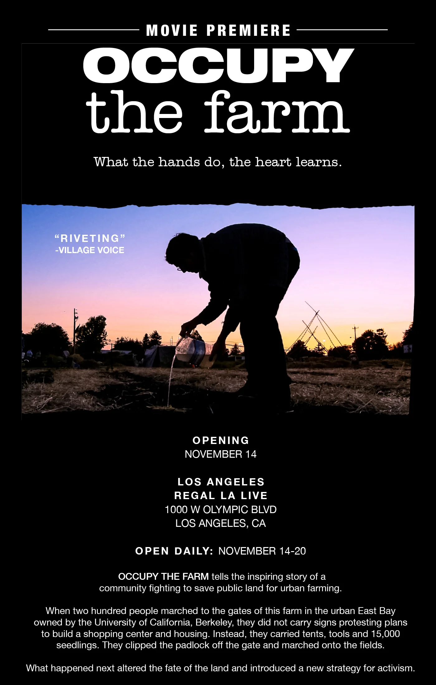 Good News for a Change!