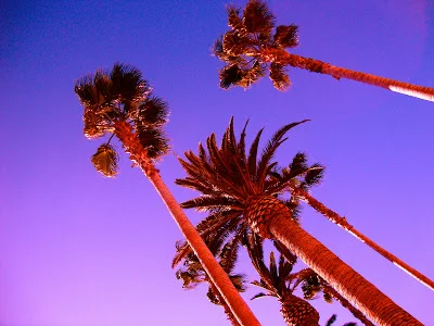 Dark California: Talking with Trevor