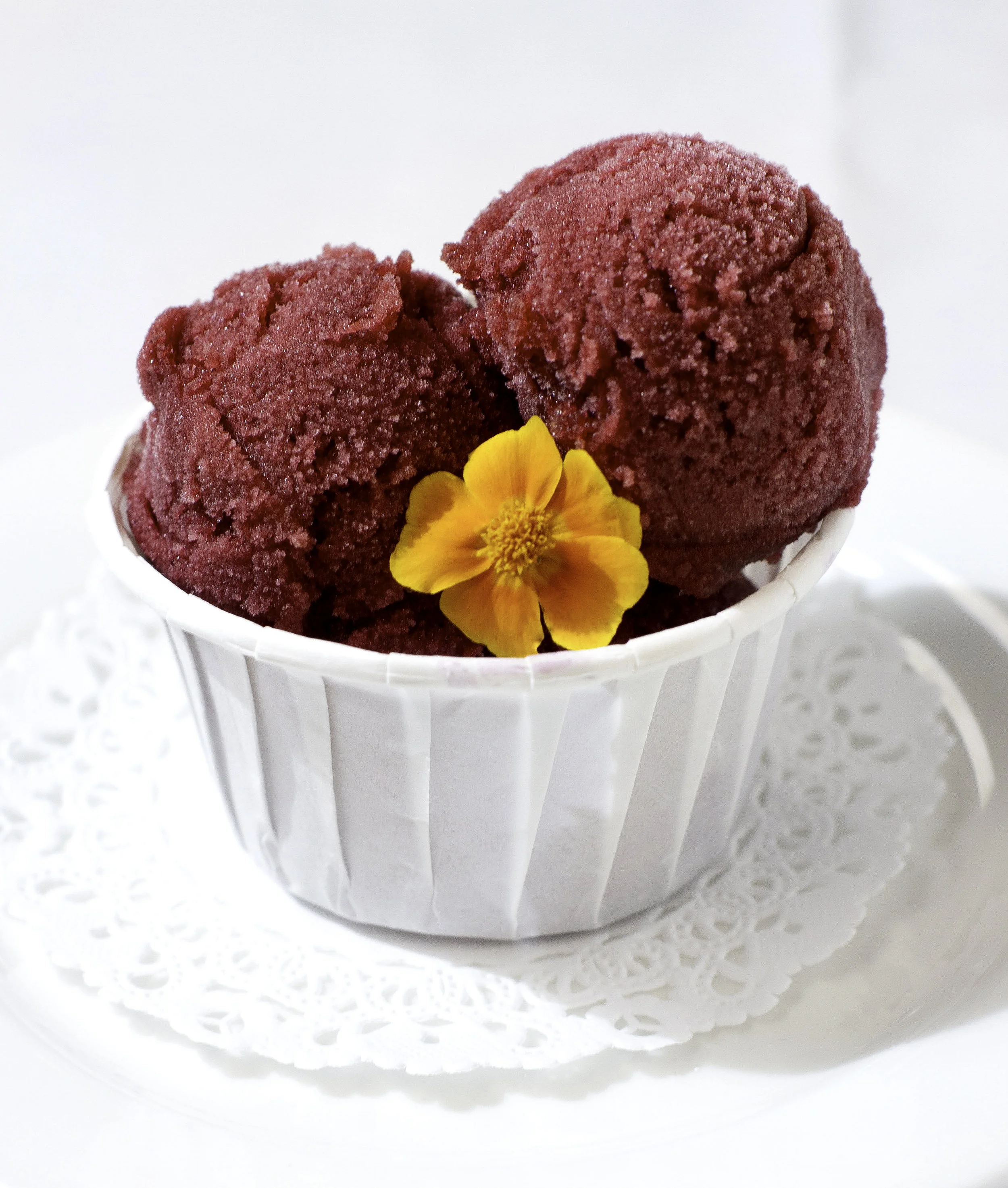 IMG_9528 as Smart Object-1.jpg