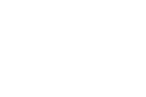 The-Princess-Theatre-Mirror-Glass.png